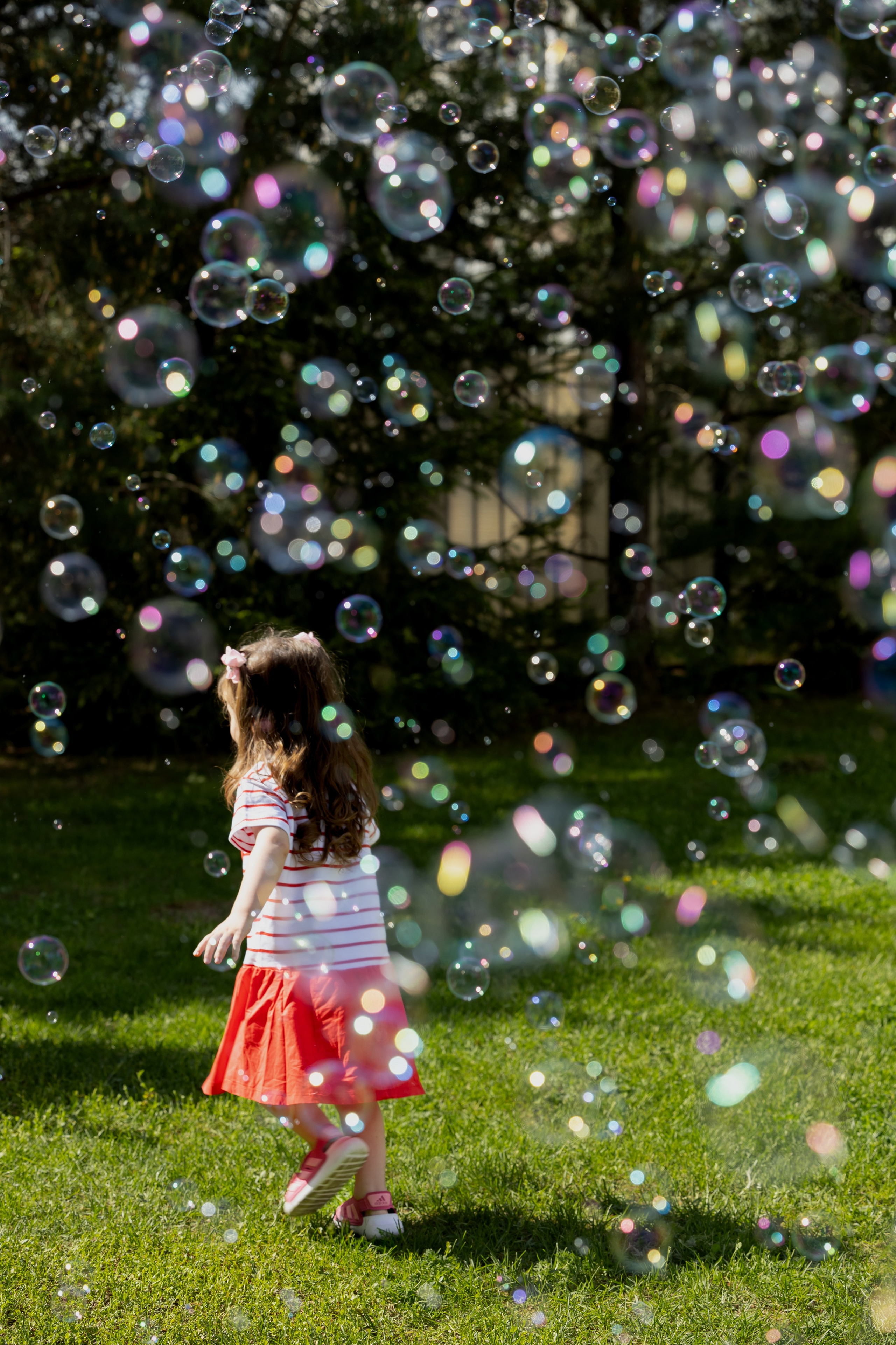 Bubble party. Обо мне
