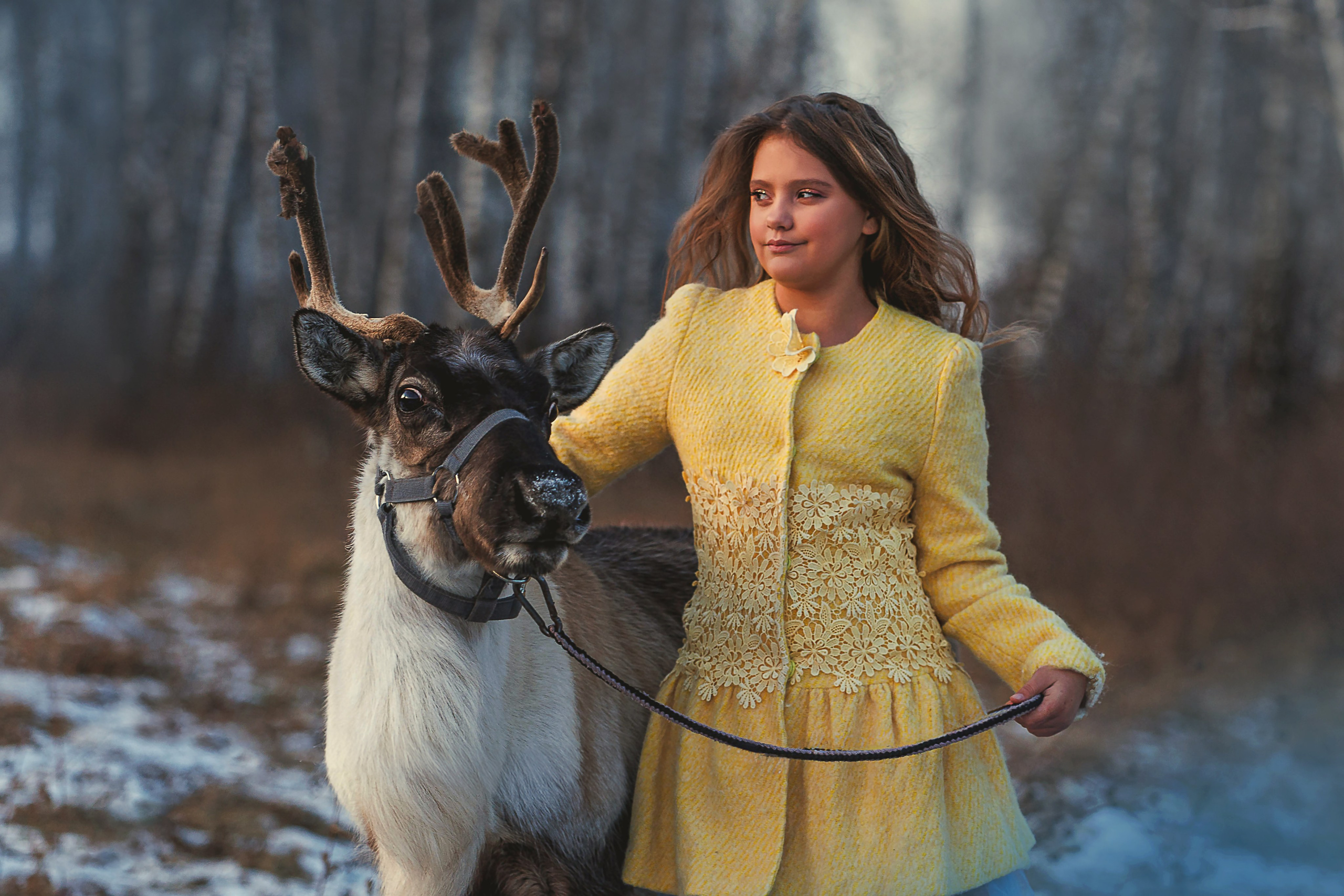 Олениха Нося 2024. Конный фотограф в Красноярске — Любовь Похабова