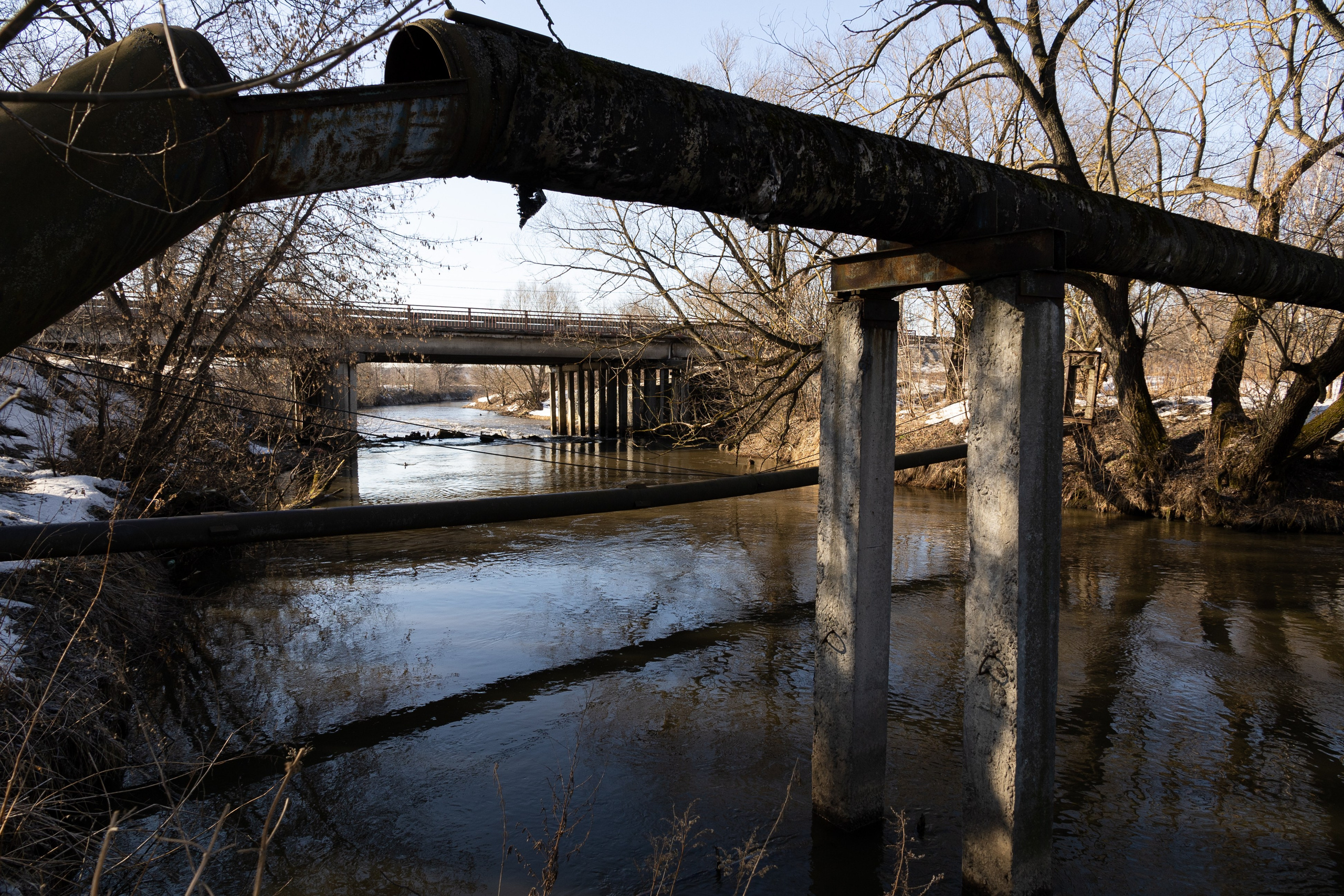 Я здесь живу. DASHA KALNINA