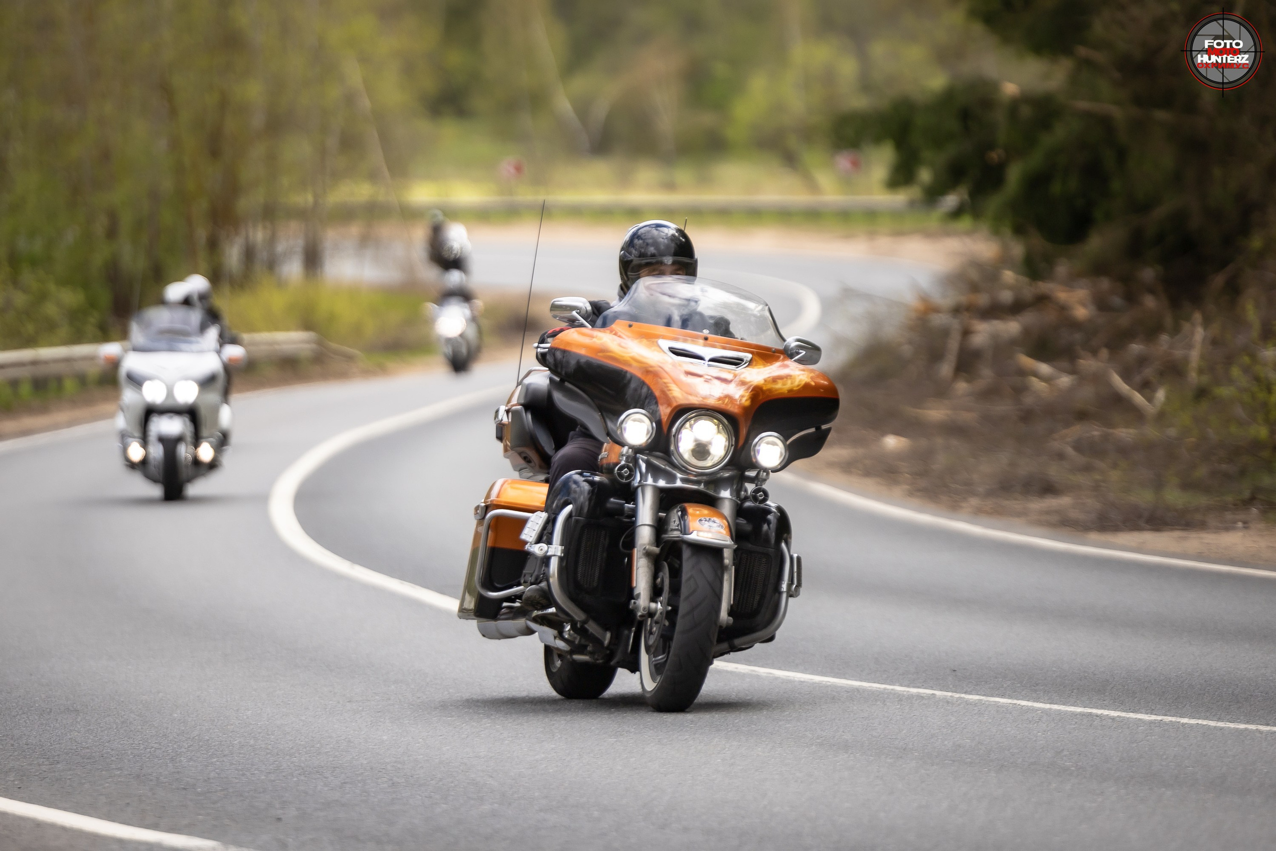 Первое Сафари в 2025 г. на Рогачевском ш. Фотограф Владимир Охрименко