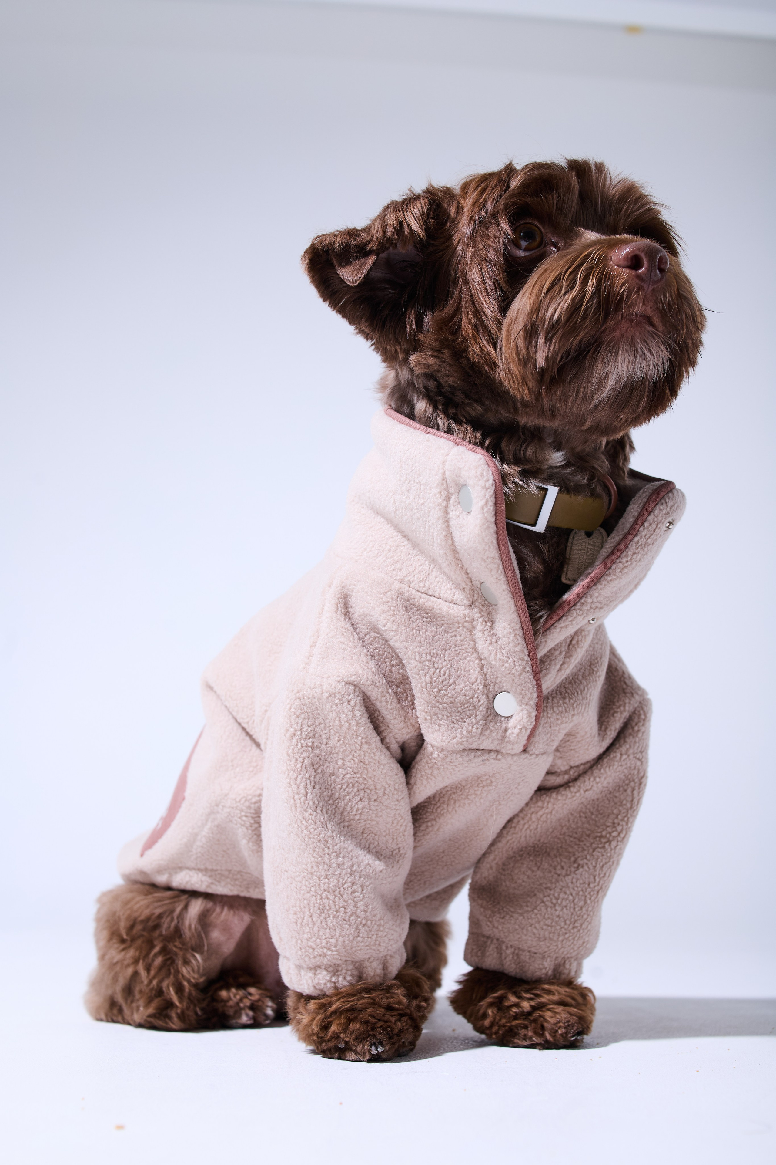 Big Lap Club. Фотограф|Москва-СПб| Анастасия Рябинина