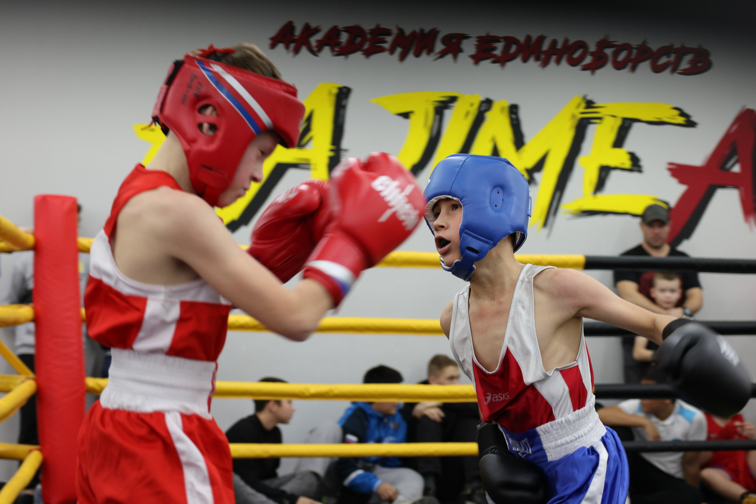 Открытый ринг «кубок ООО «ТЭК НеваСпецТяж». Фотограф Александр Заломаев