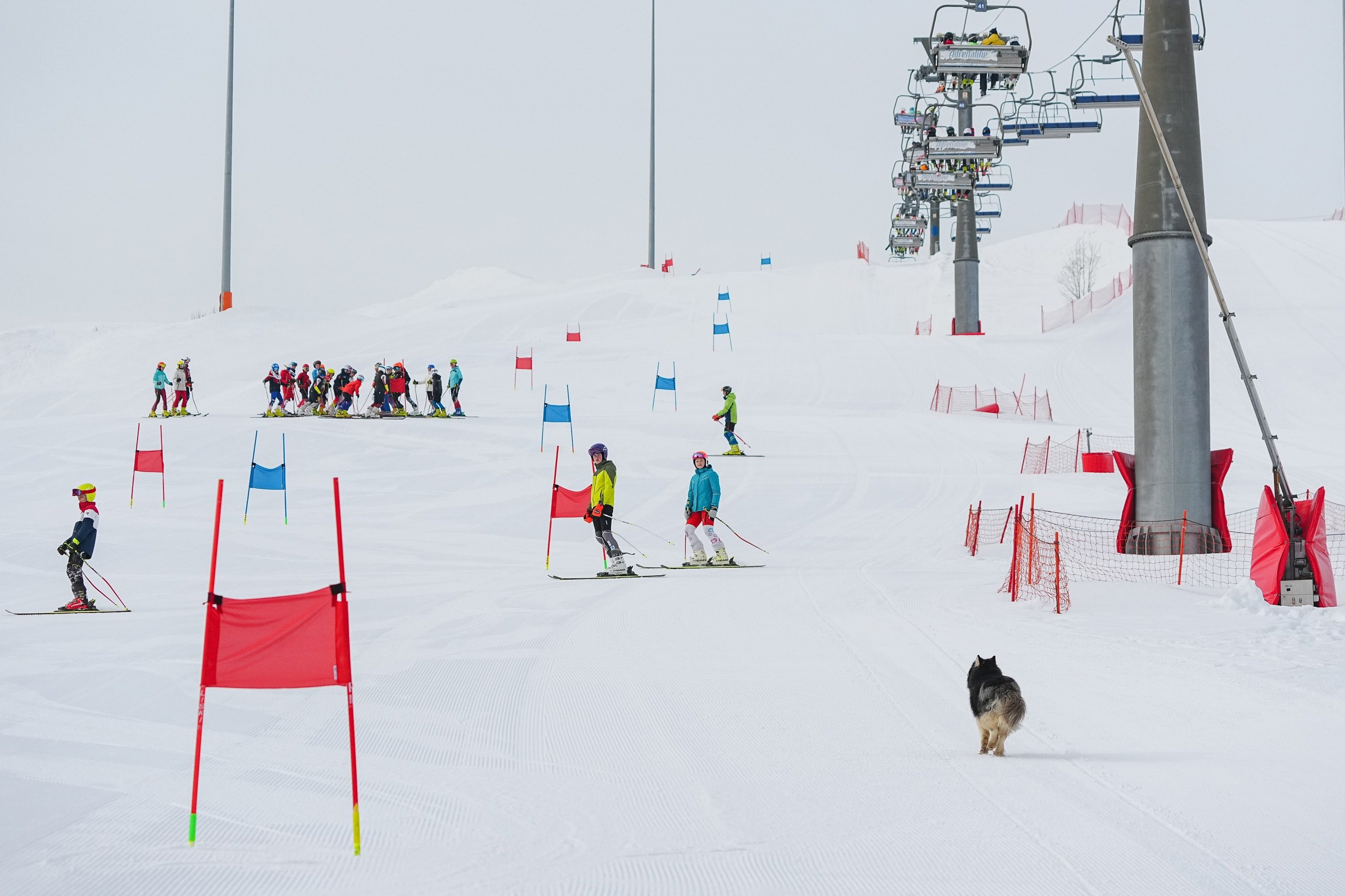 Шуколово. Приз Губернатора МО, GS, 2024. Фотограф Студитский Евгений