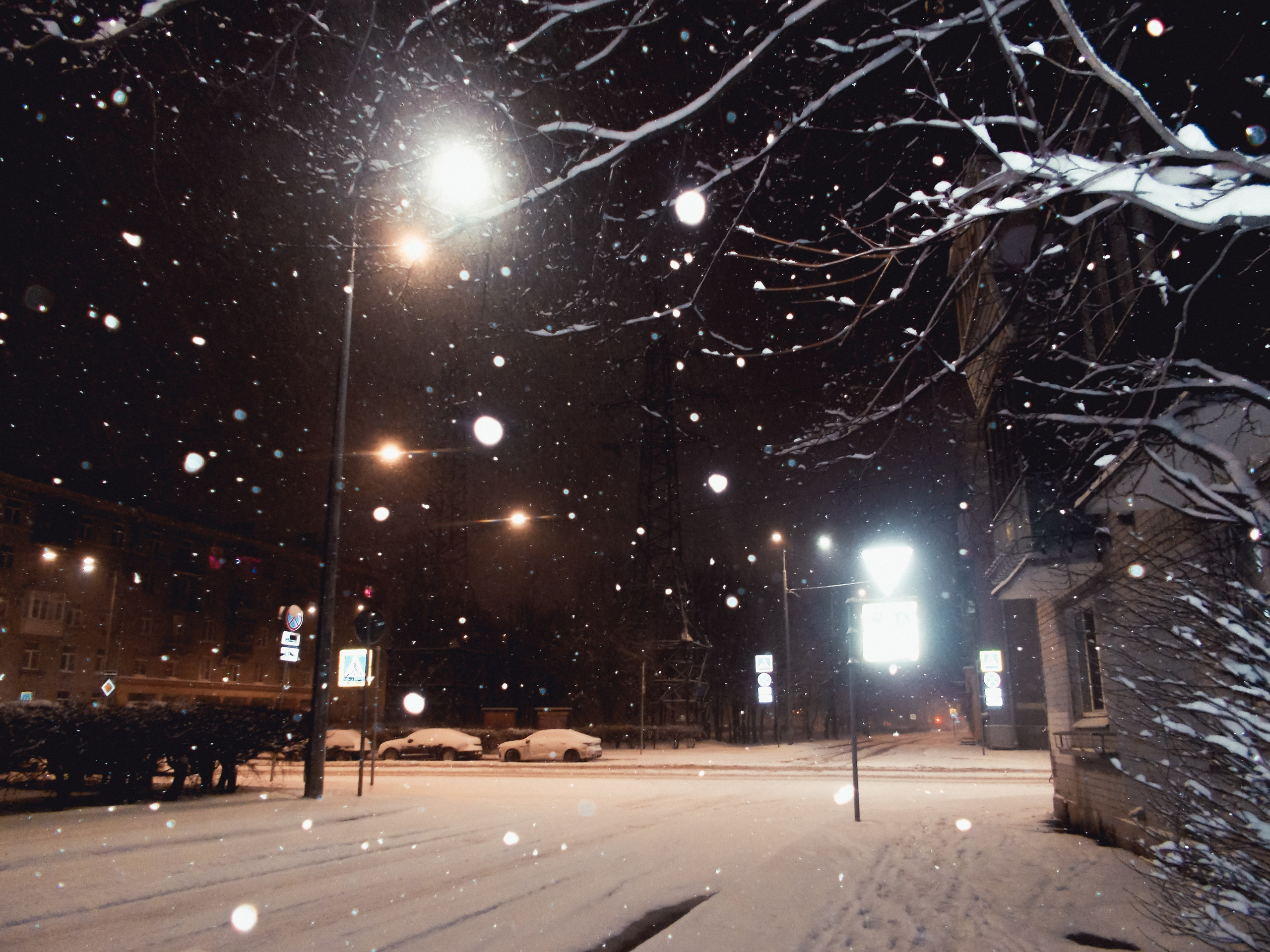 Nikon coolpix l26. Анна Мильч