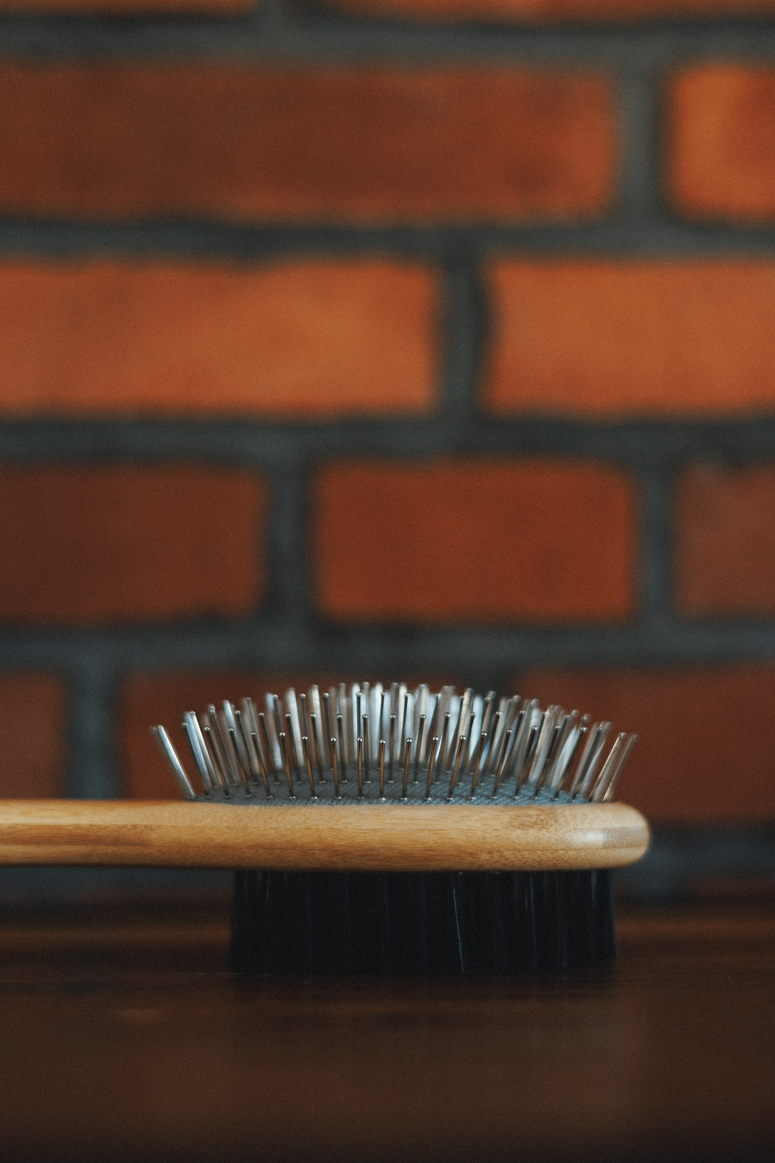 M-Pets. Фотограф анималист Осипчикова Мария