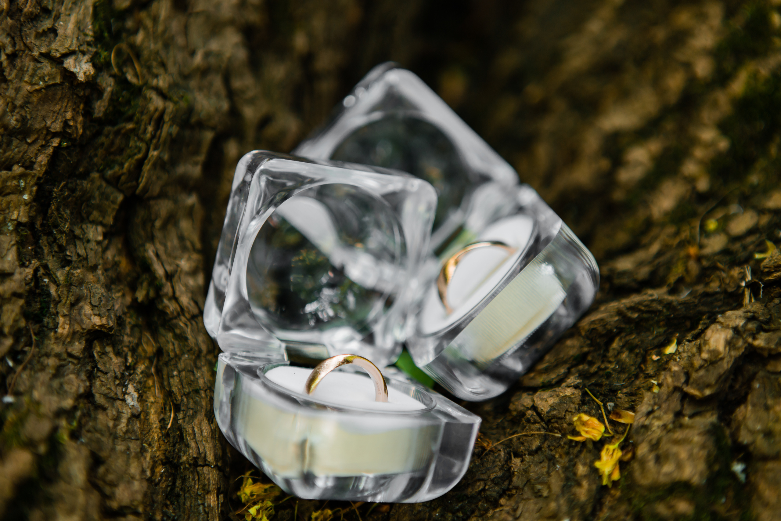 Фотограф Анна Хомко. Фотосъемка свадеб. Свадебный фотограф в Москве. Фотограф Анна Хомко. Фотосъемка свадеб. Фото и видео на свадьбу