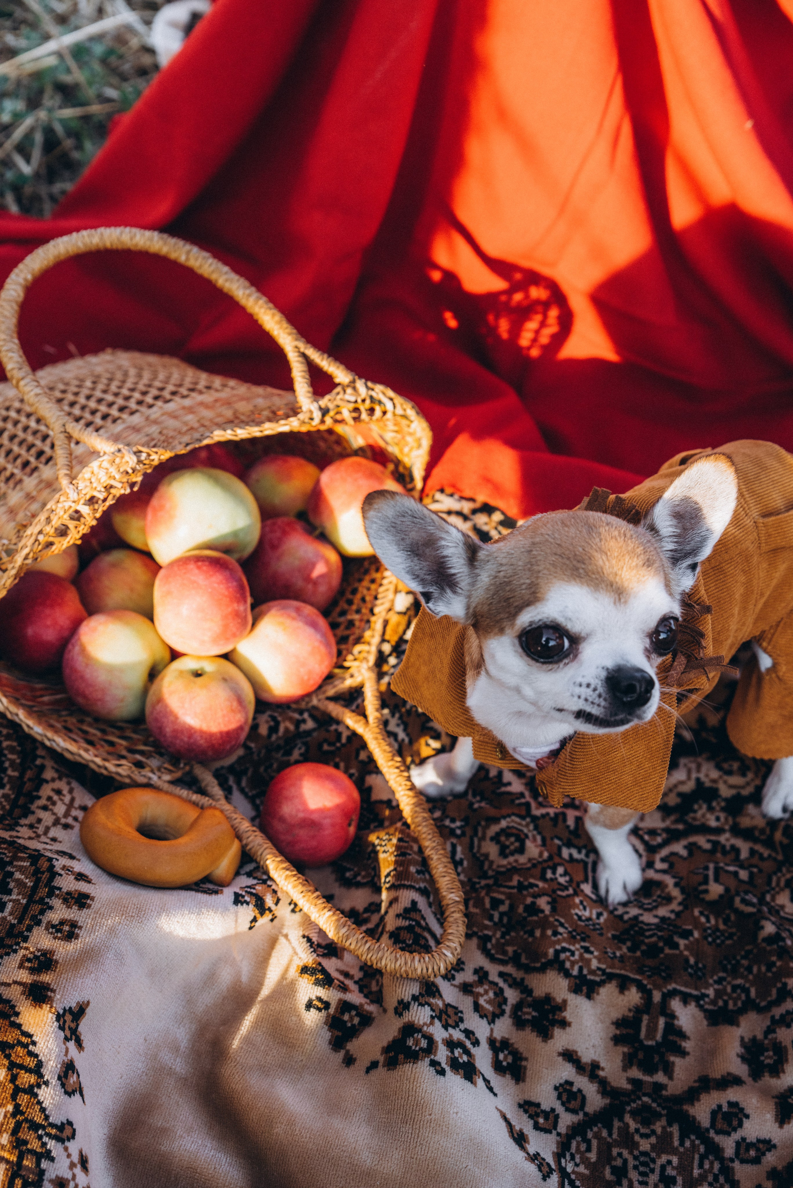 ЛЕНА. Ольга Козлова фотограф Волгоград olkiny-fotki.ru