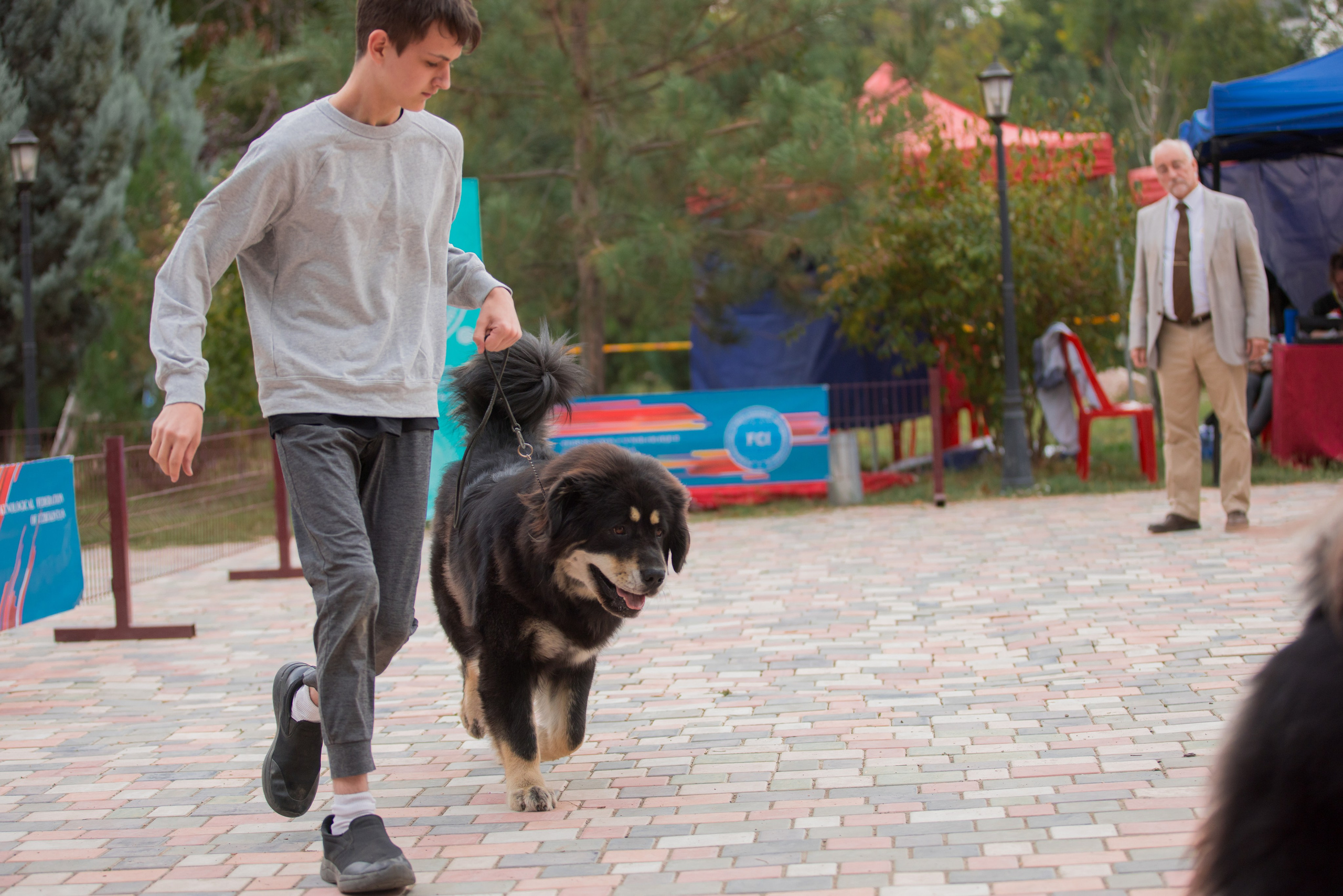 Ташкент 6-8.10.2023 + Алматы 14-15.10.2023. Фотограф-анималист Юлия Германика