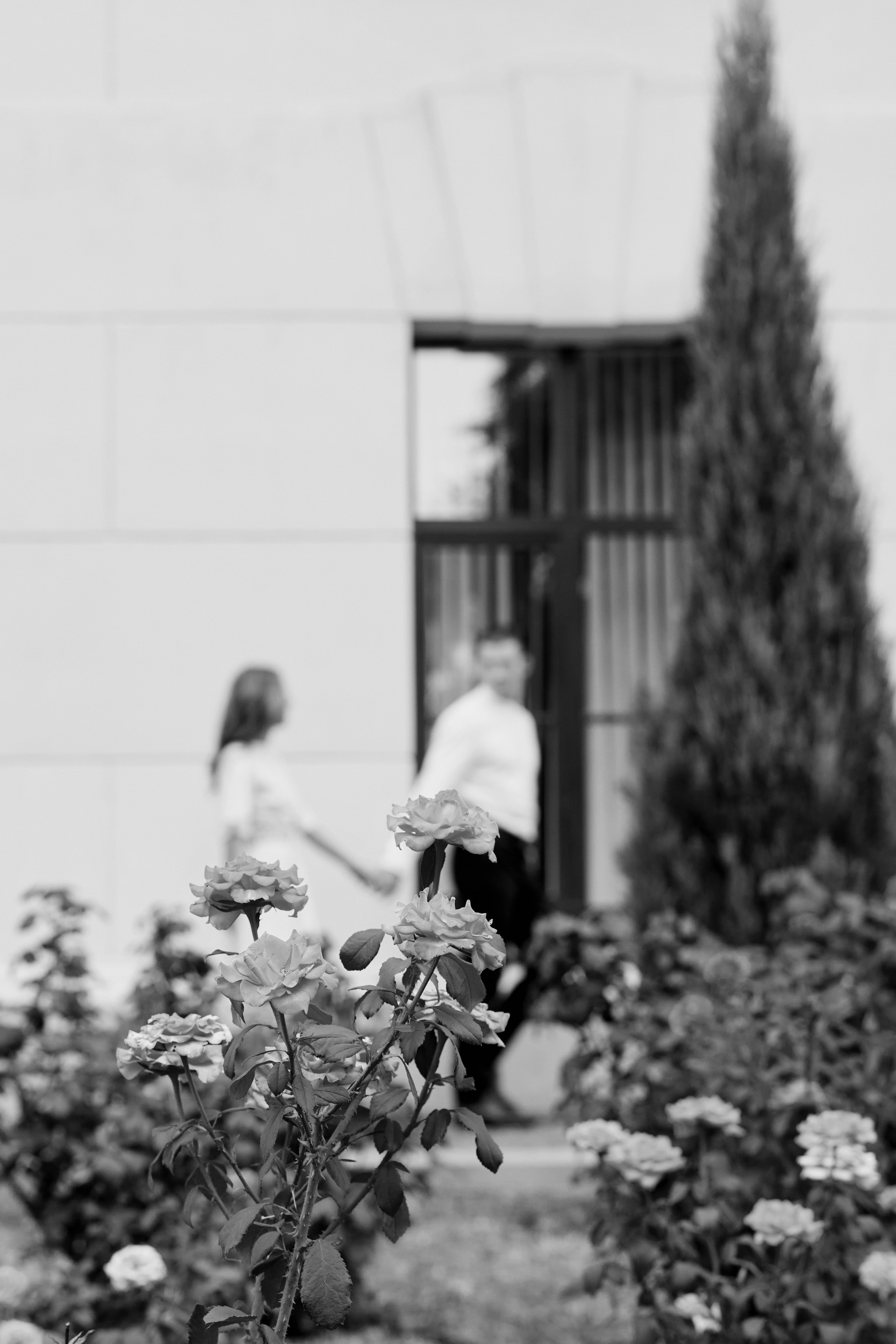 Виктор и Виктория. Чумаков Алексей Фотограф|Видеограф свадебные, индивидуальные, семейные, репортаж