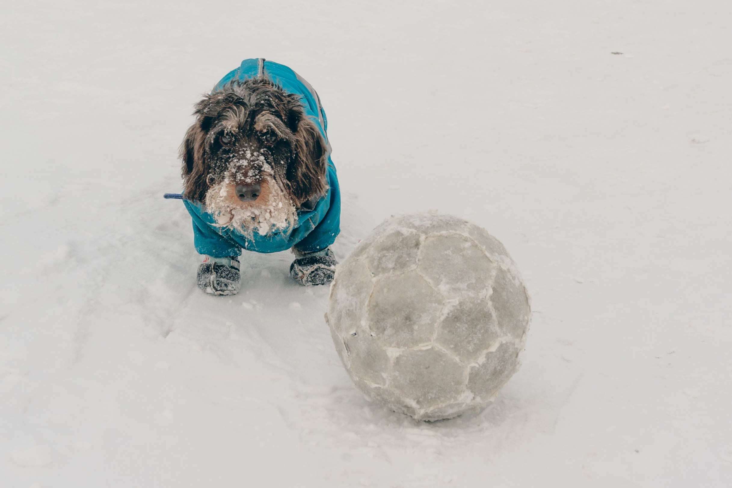 Промежуточные объекты. Фотограф Алик Мелконян