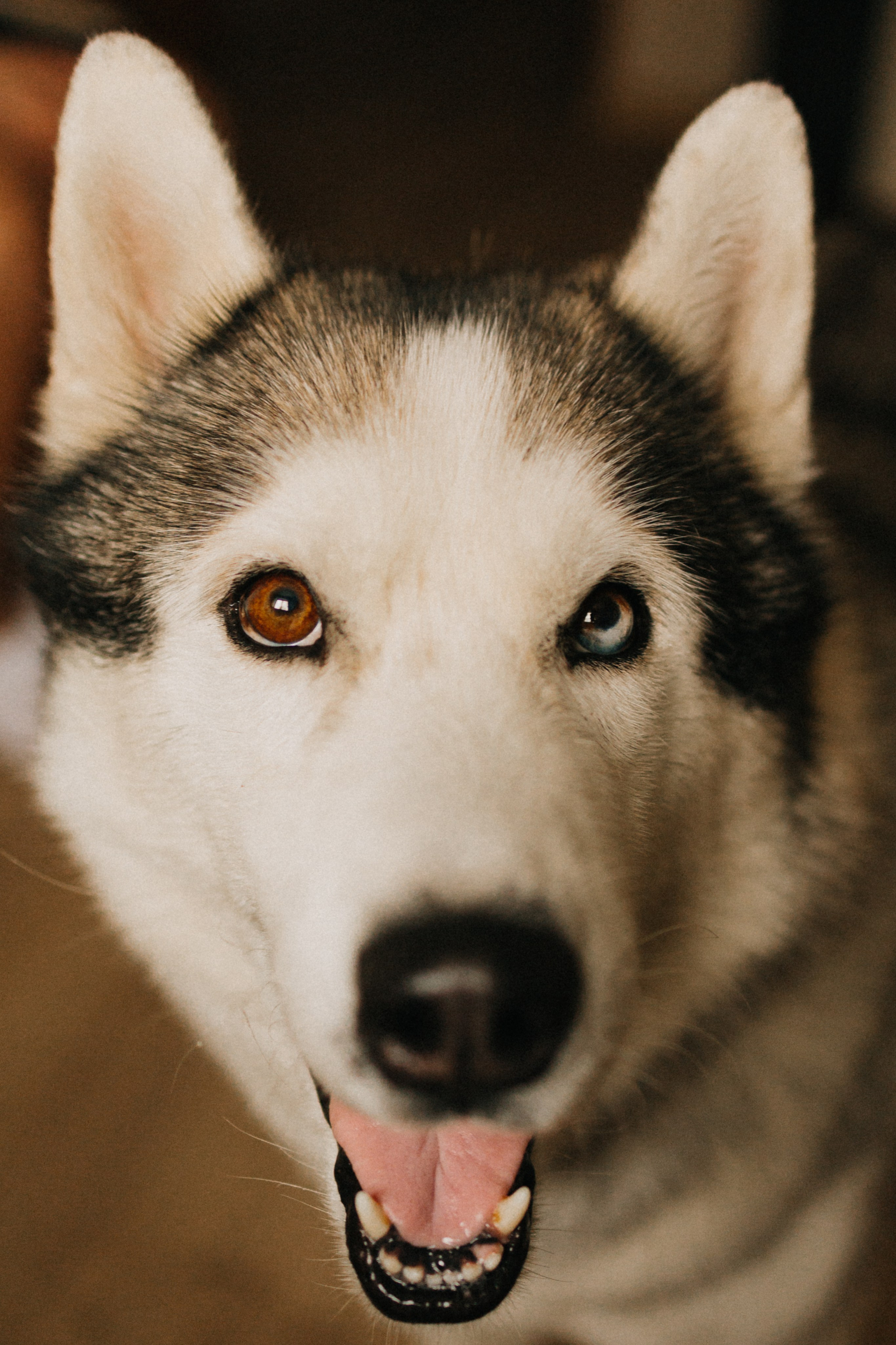 Эти кудряшки. Фотограф Настя Леонова
