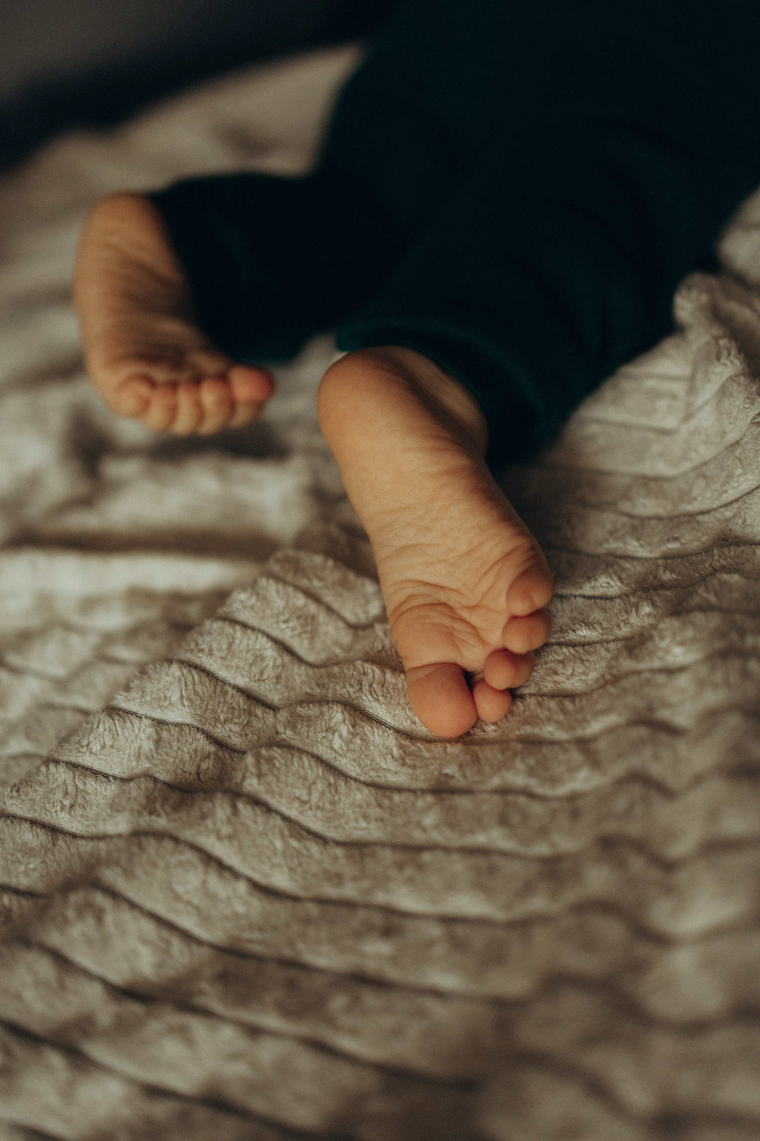 Дома кот и пироги. Фотограф Москва Алёна Суворова