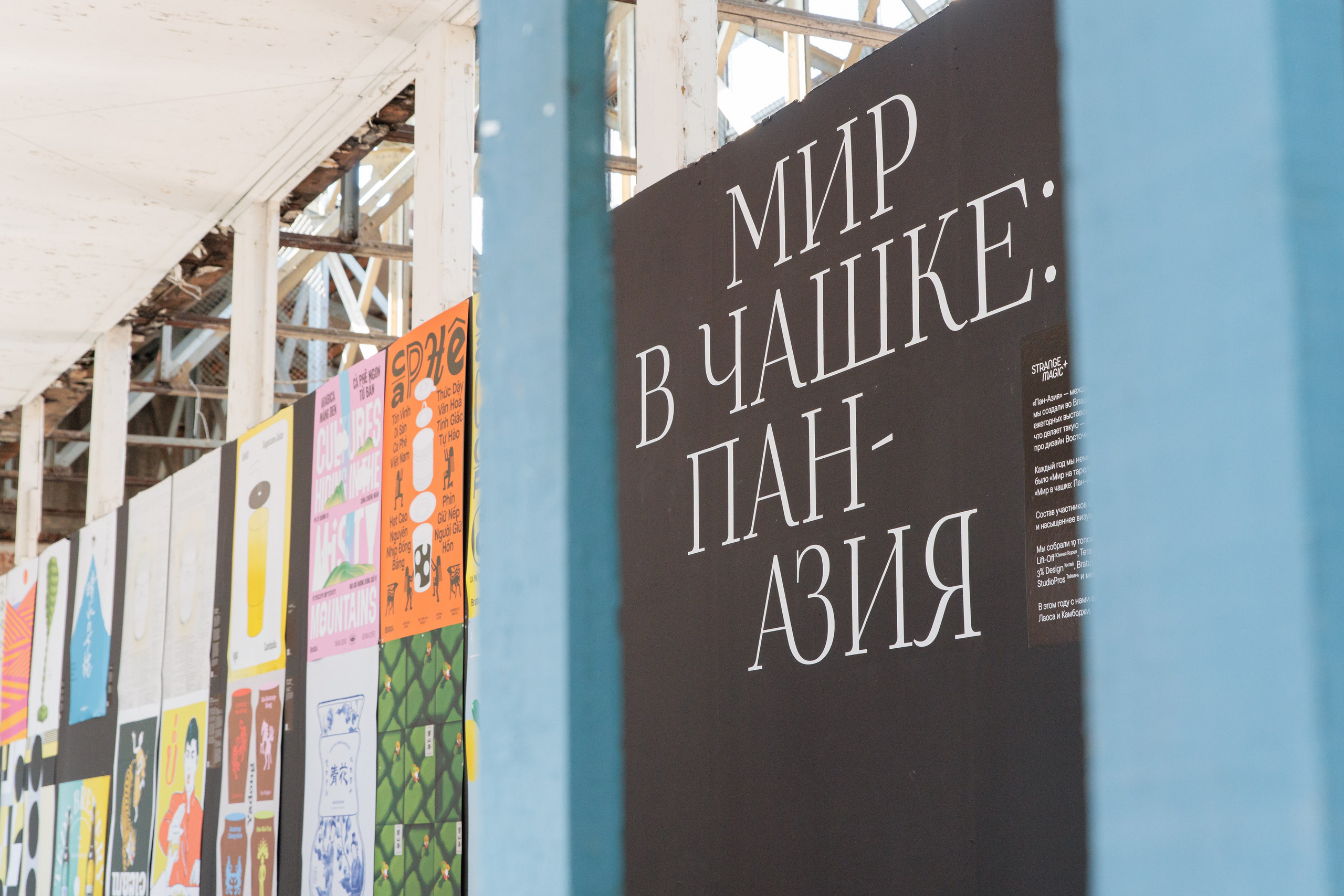 Форумы | Фестивали. Гришин Дмитрий — репортажный, событийный фотограф во Владивостоке