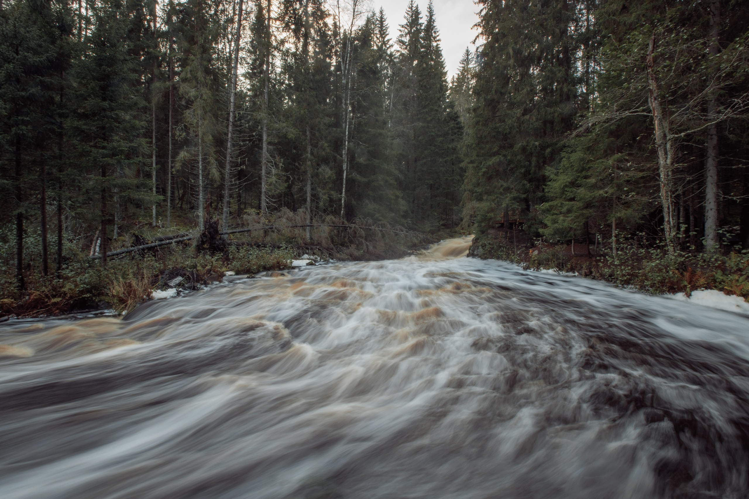 Пейзаж. Детская Конная фотография в Москве Юлия Шепелева