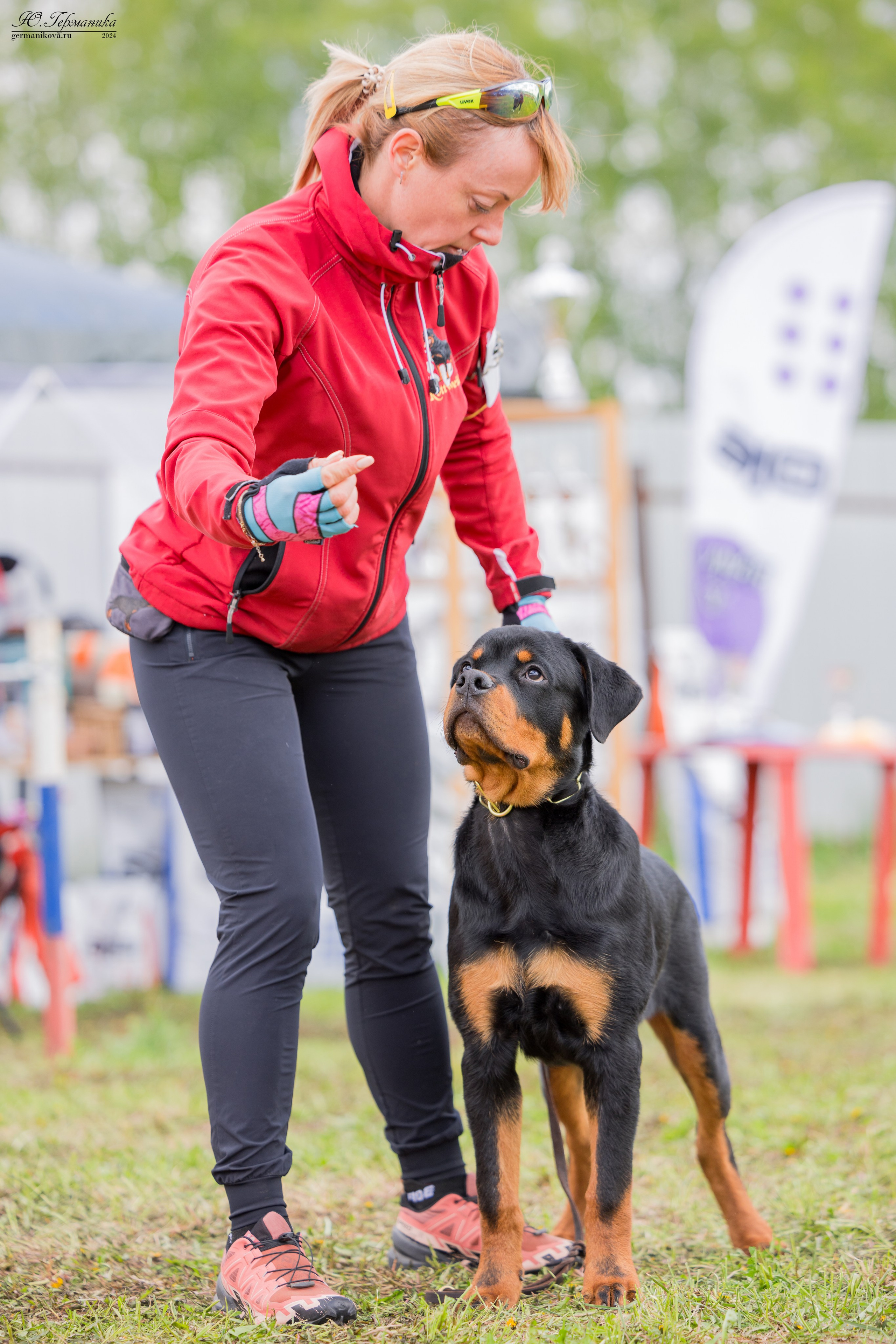 Нижний Новгород 11-12.05.2024 моно ротвейлеров. Фотограф-анималист Юлия Германика