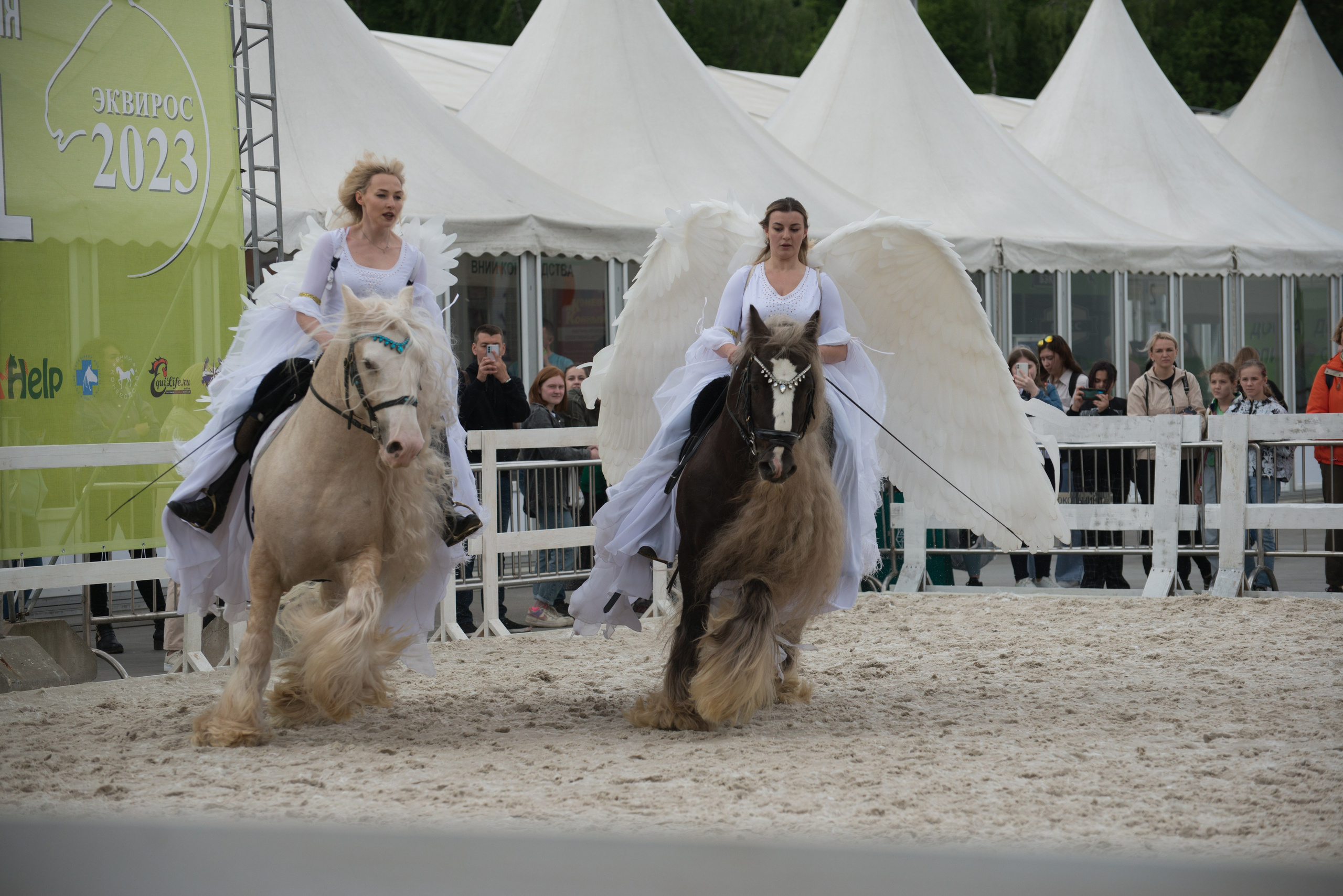 Эквирос, Москва. Конный фотограф в Саратове Юлия Иванова