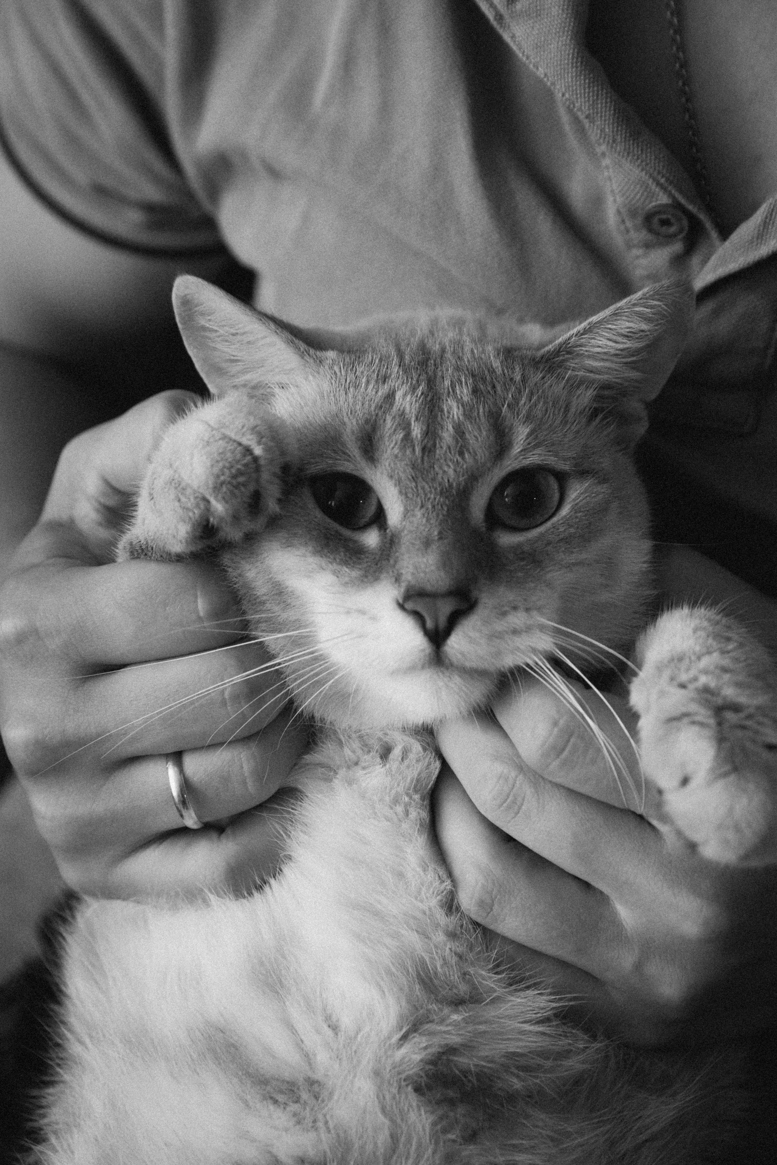 Юля, Витя, Мирон и Марфуня. Семейный фотограф Минск Усова Ольга