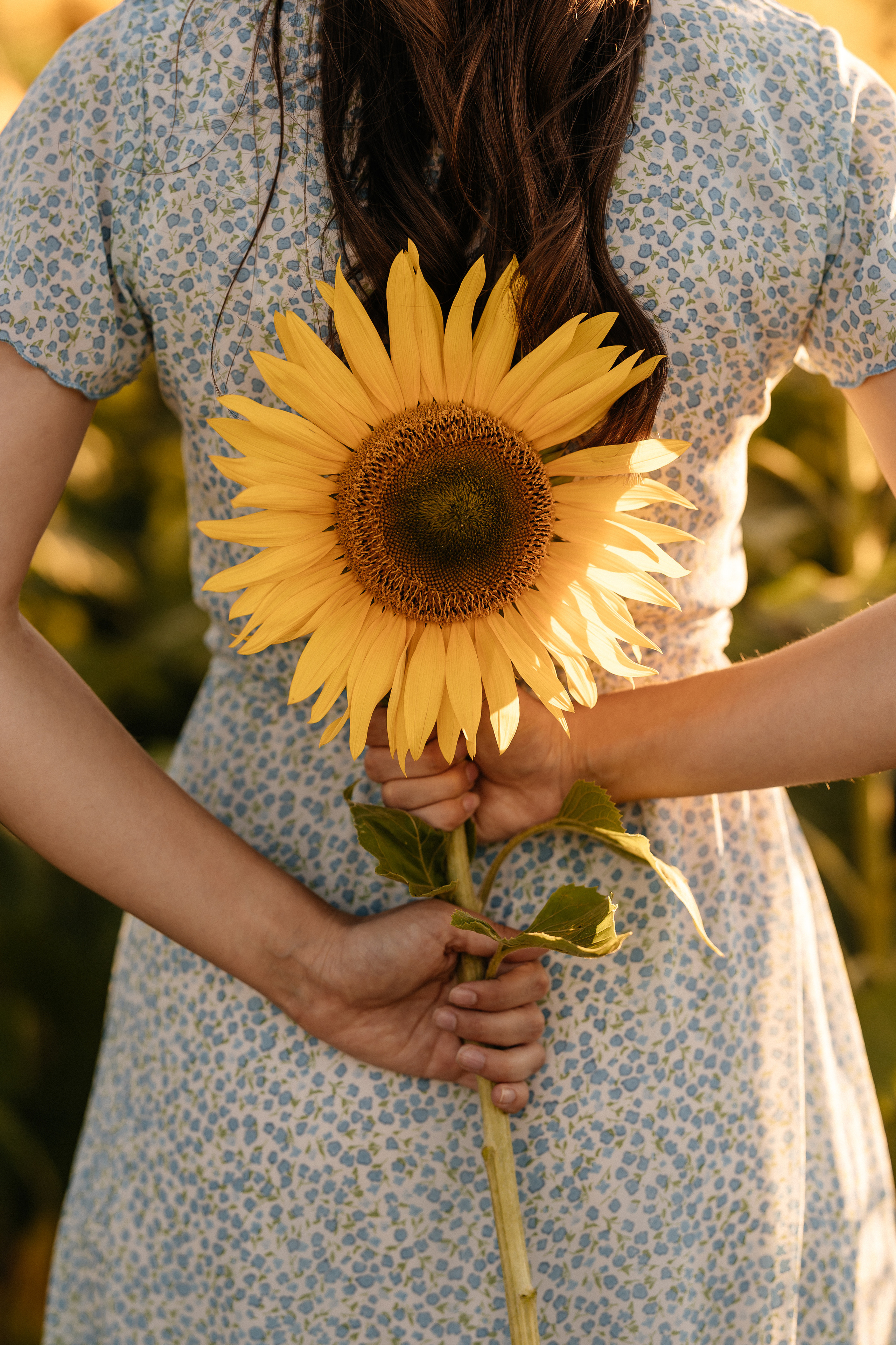 Маргарита и Дима. Семейный фотограф Минск Усова Ольга