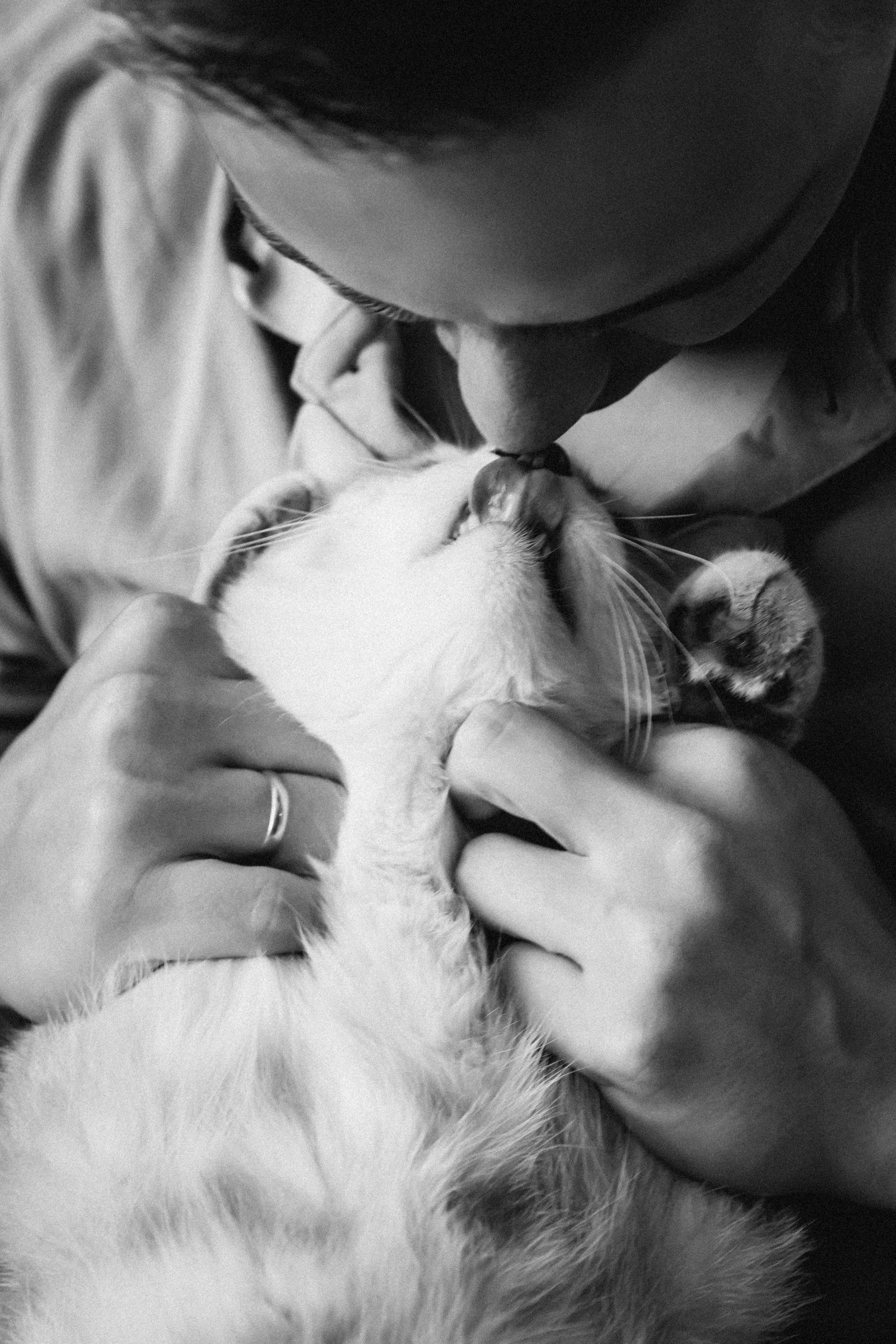 Юля, Витя, Мирон и Марфуня. Семейный фотограф Минск Усова Ольга