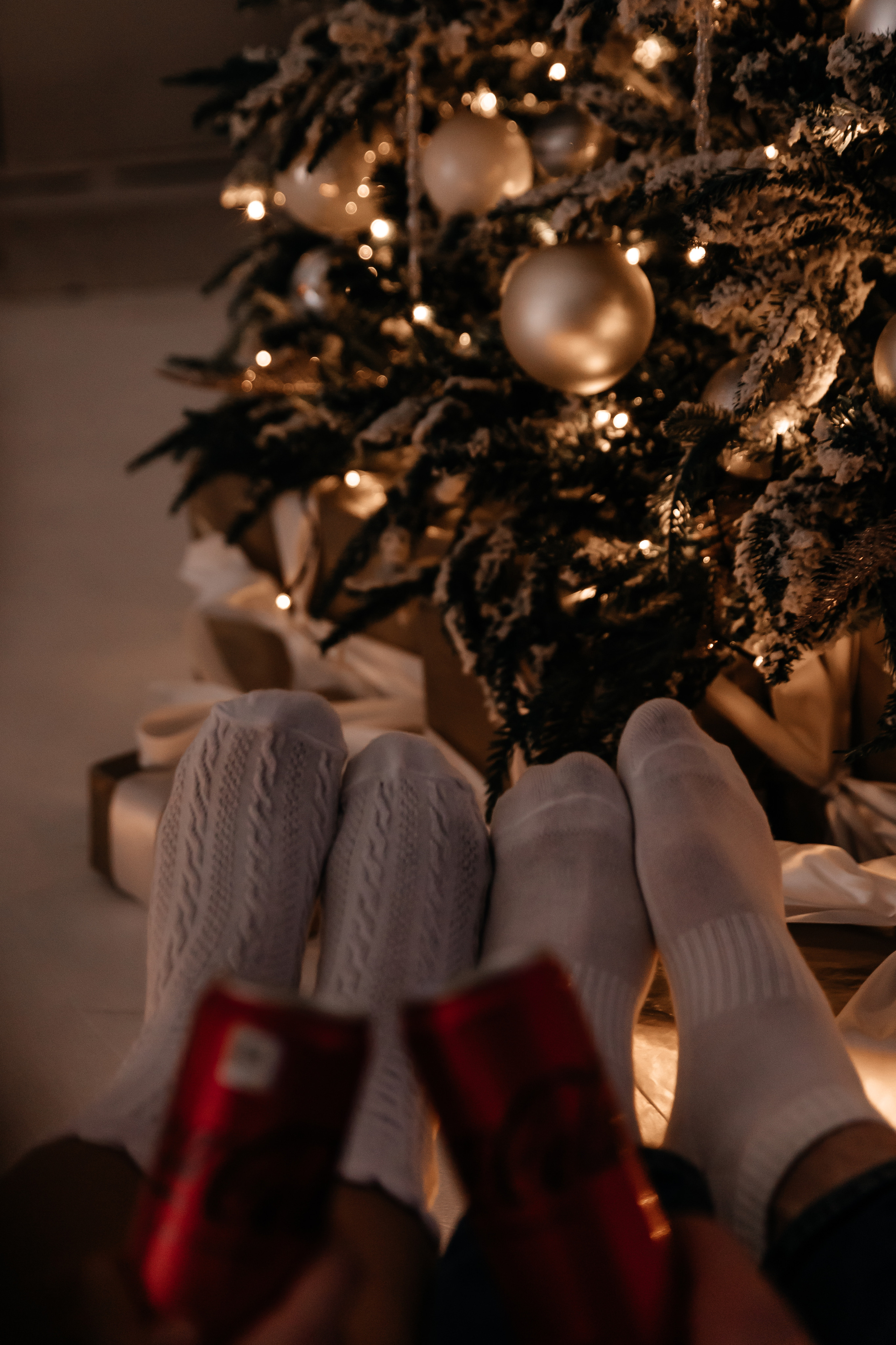 Маргарита и Дима. Семейный фотограф Минск Усова Ольга