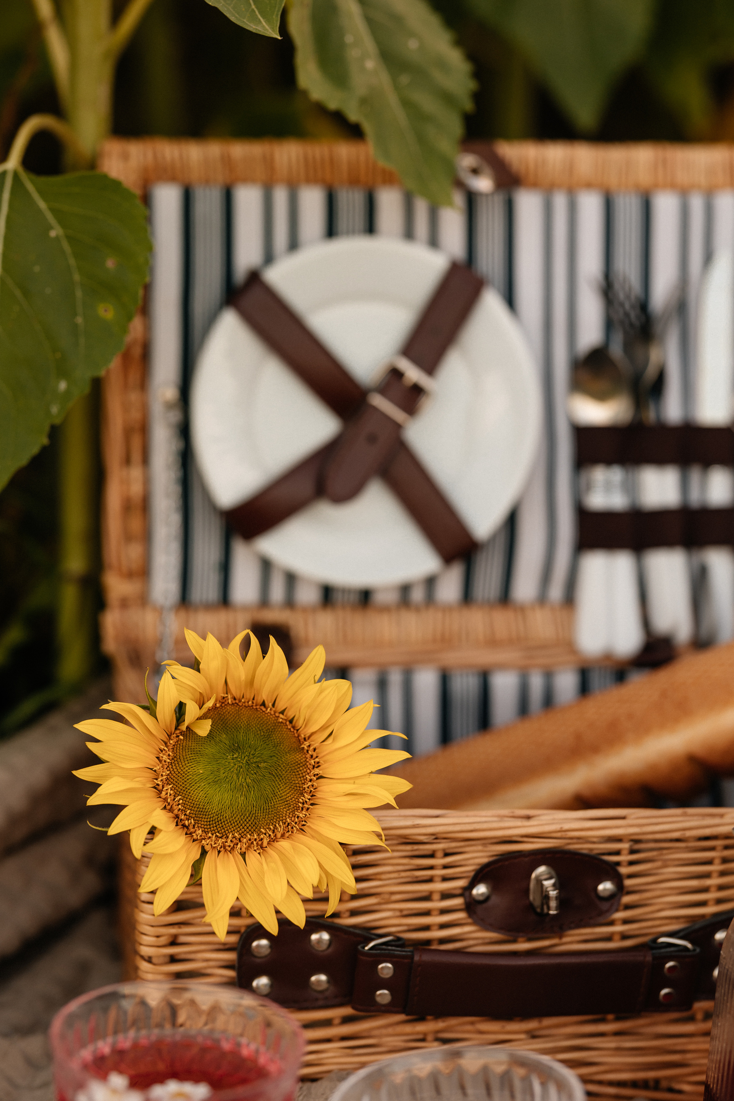 Маргарита и Дима. Семейный фотограф Минск Усова Ольга