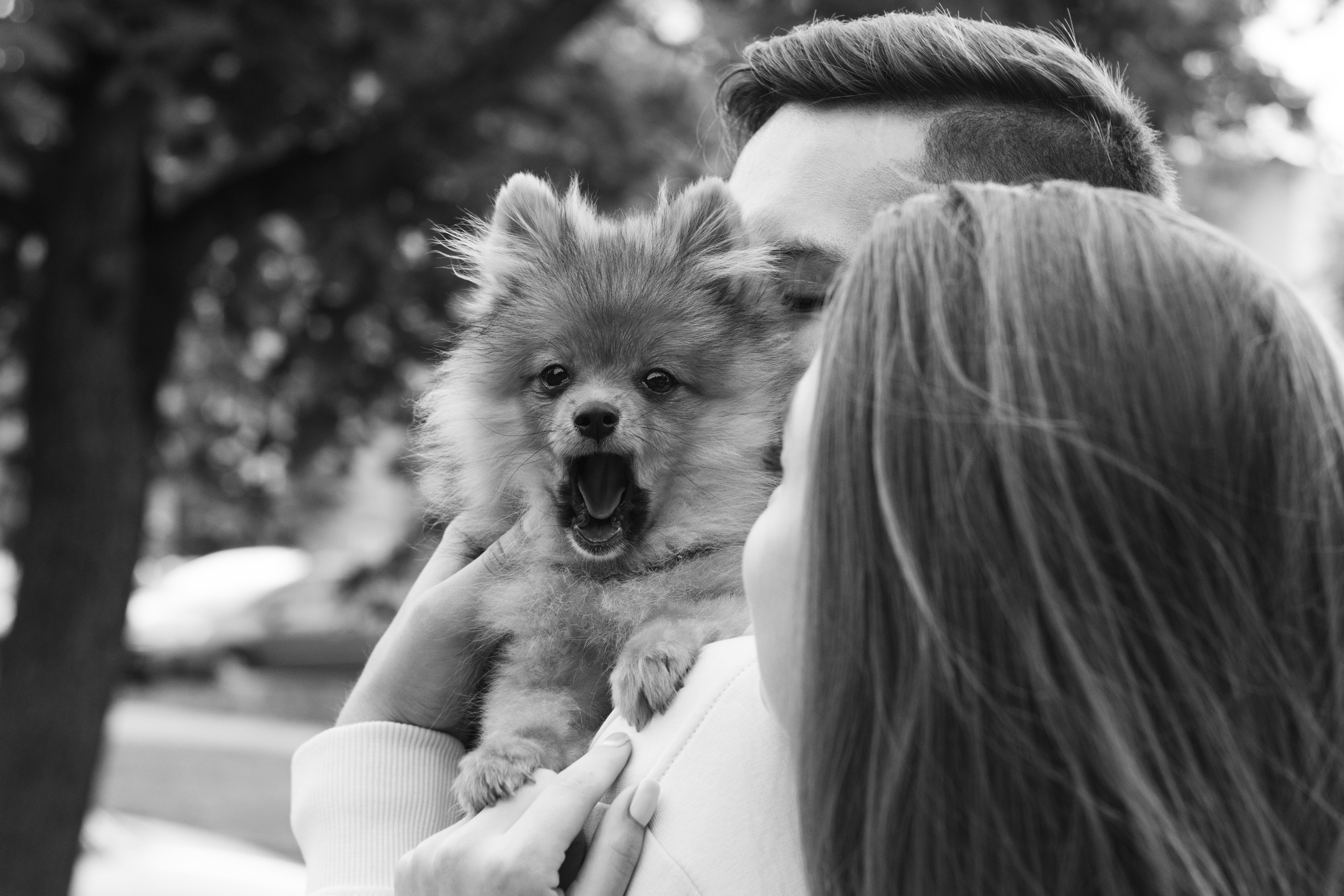 Рома, Алина и Луна. Семейный фотограф Минск Усова Ольга