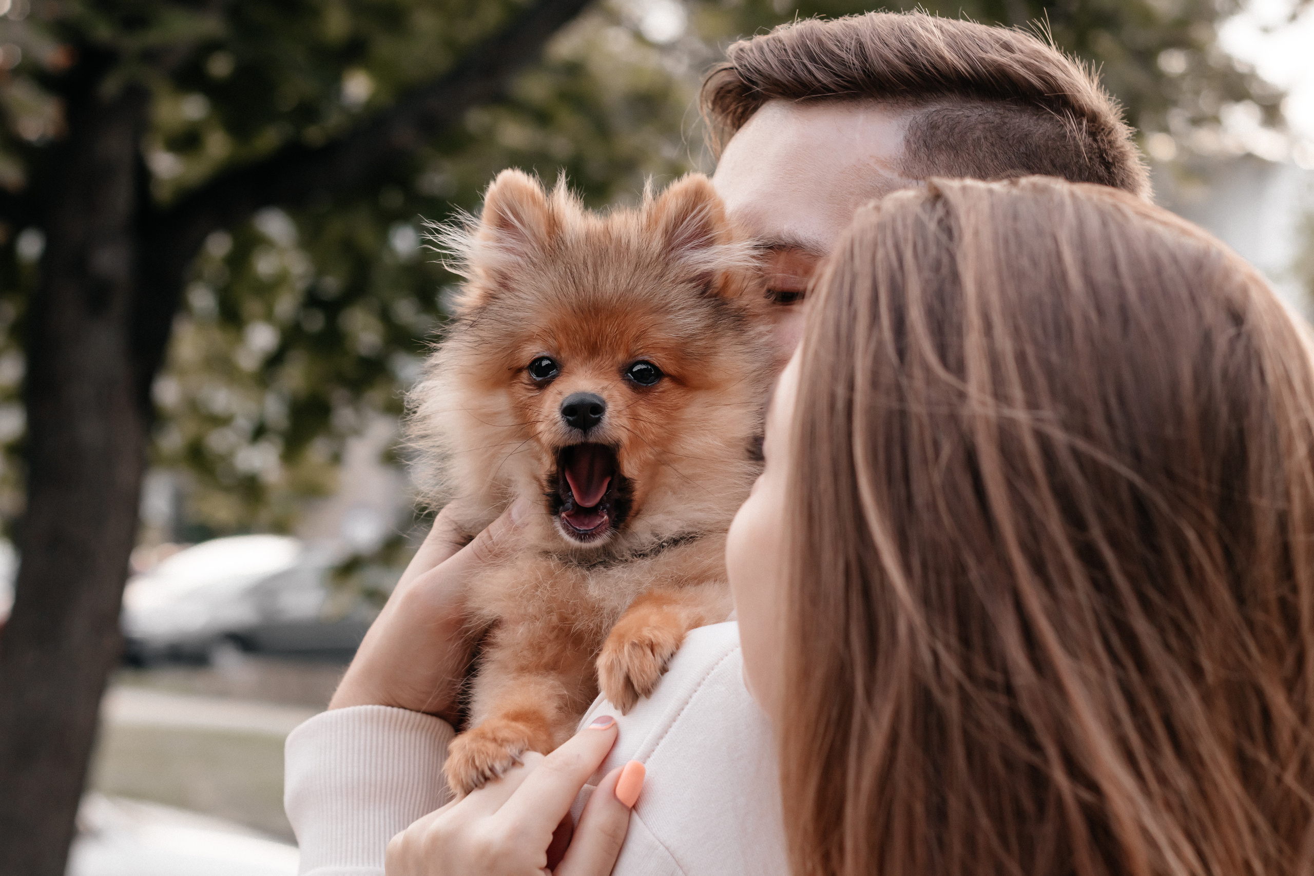 Рома, Алина и Луна. Семейный фотограф Минск Усова Ольга