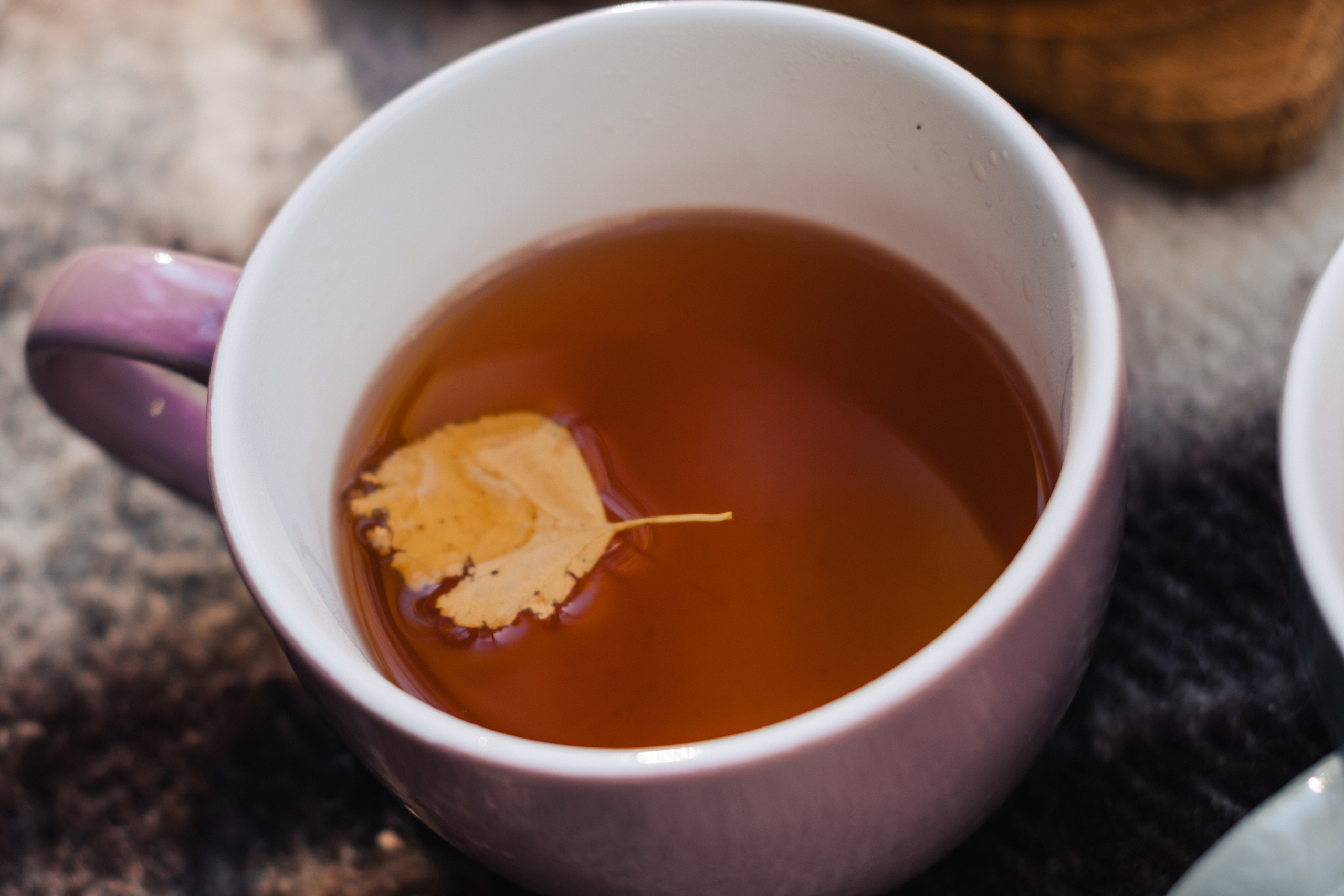 Маргарита и Дима. Семейный фотограф Минск Усова Ольга