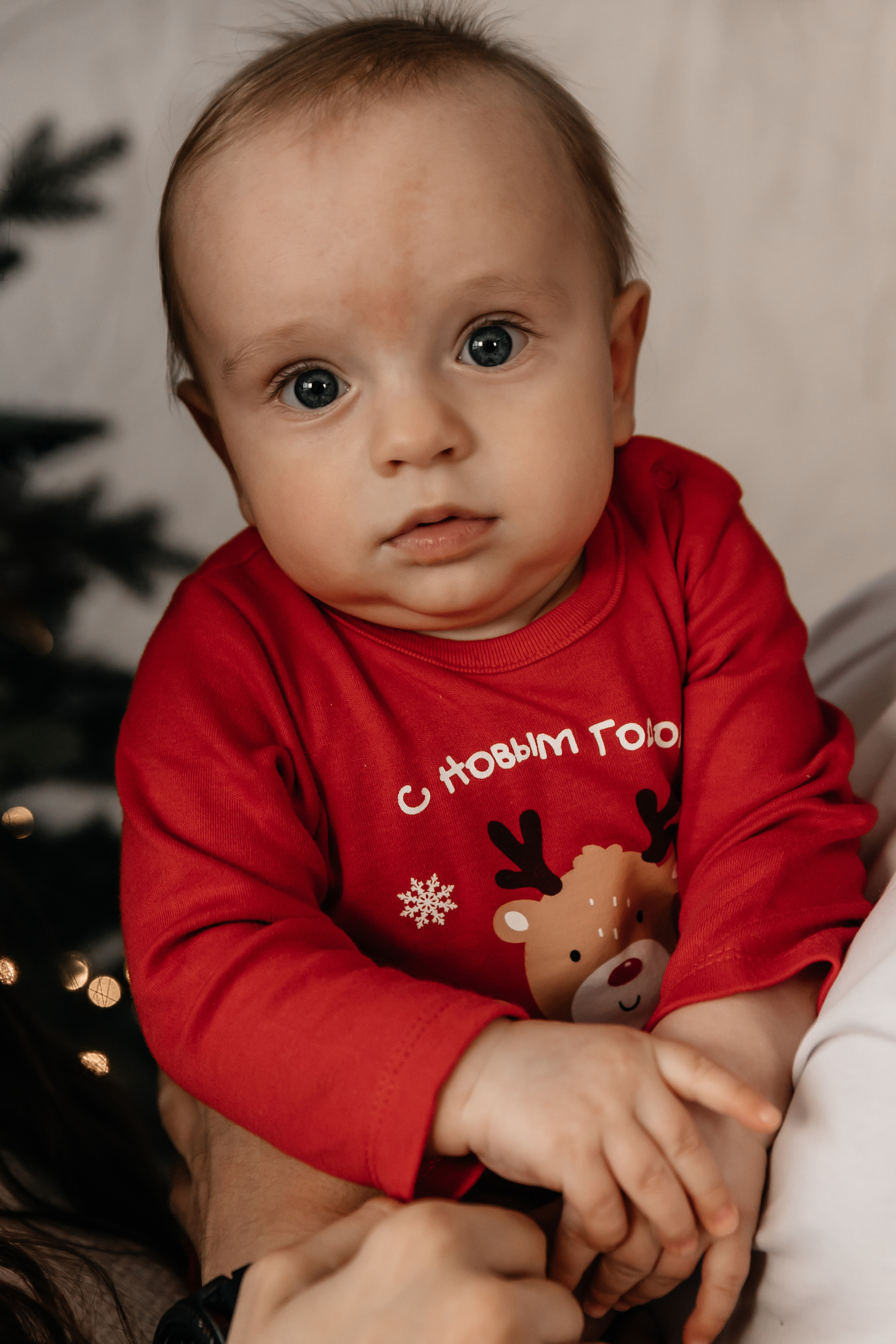 Кристина, Павел, Святослав. Семейный фотограф Минск Усова Ольга