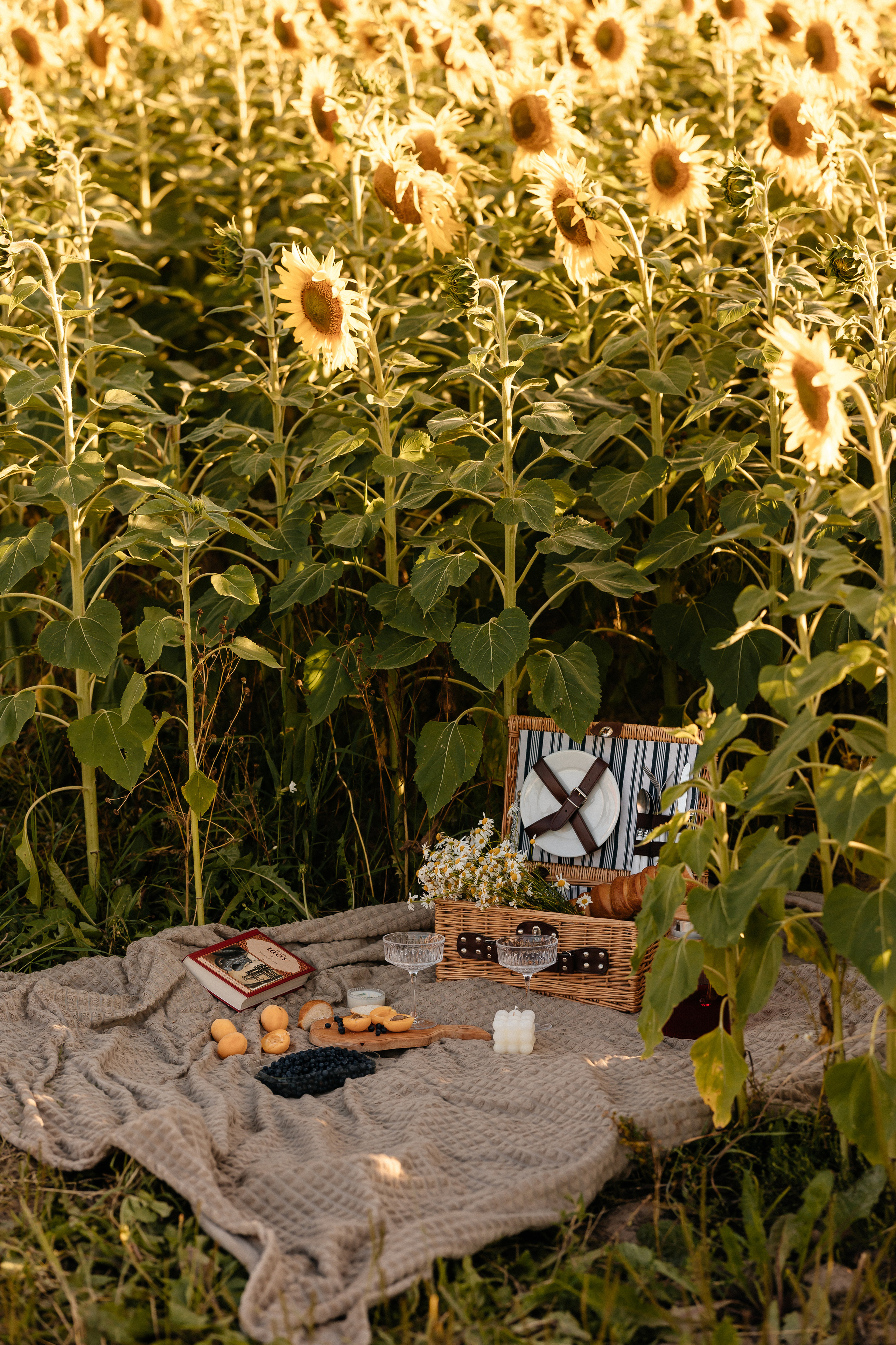 Маша. Семейный фотограф Минск Усова Ольга