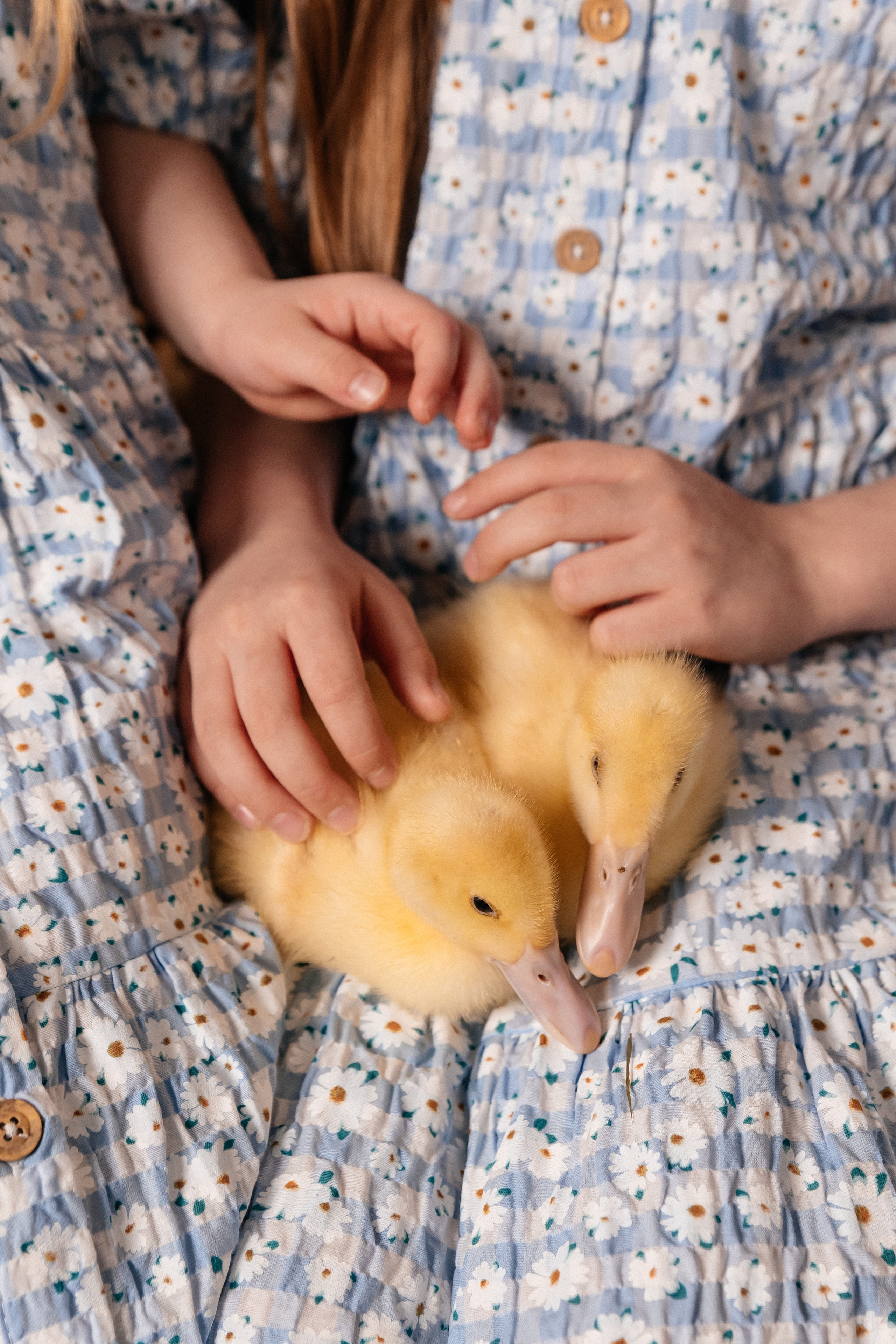 Мария, Влада и Варя. Семейный фотограф Минск Усова Ольга