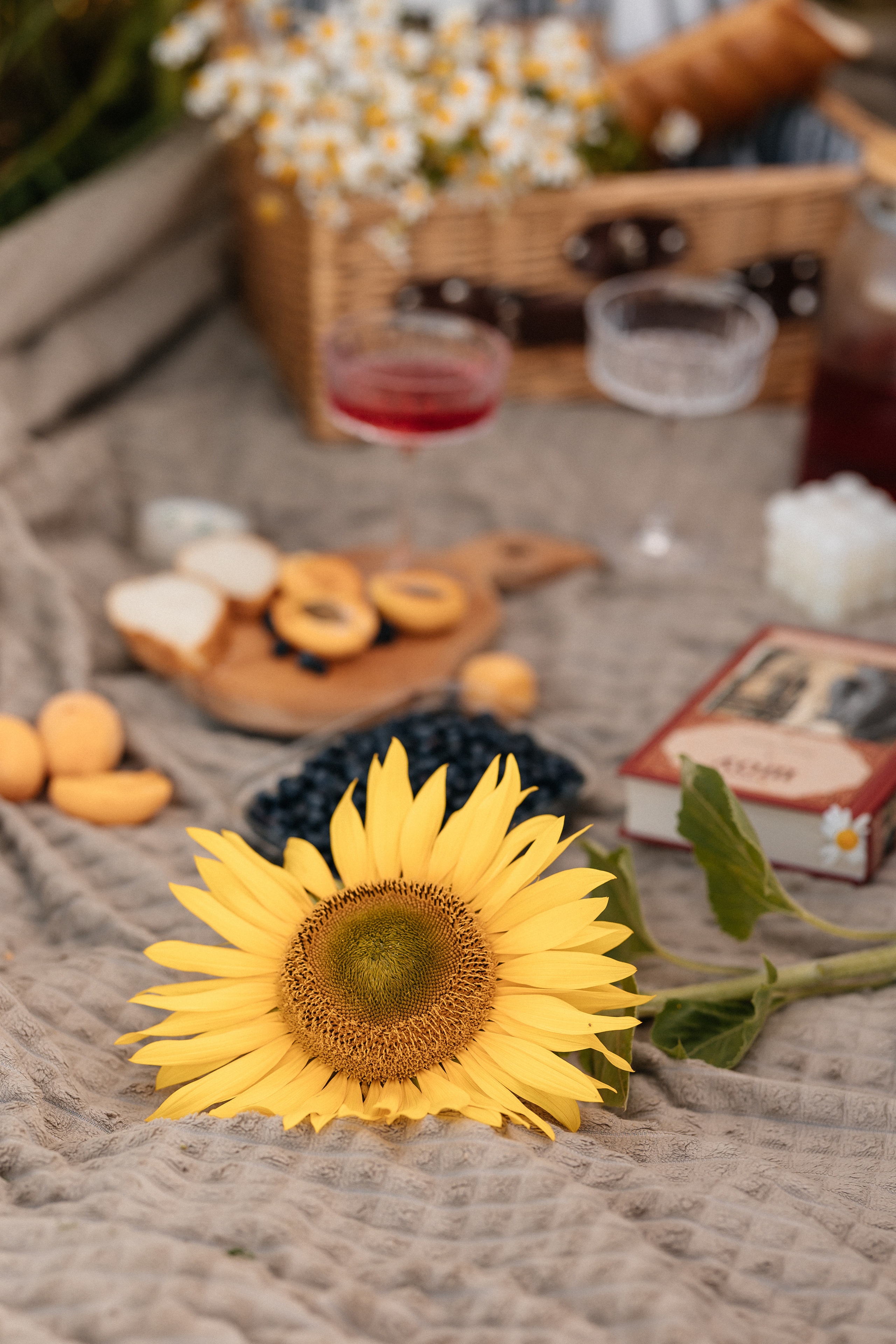 Маргарита и Дима. Семейный фотограф Минск Усова Ольга