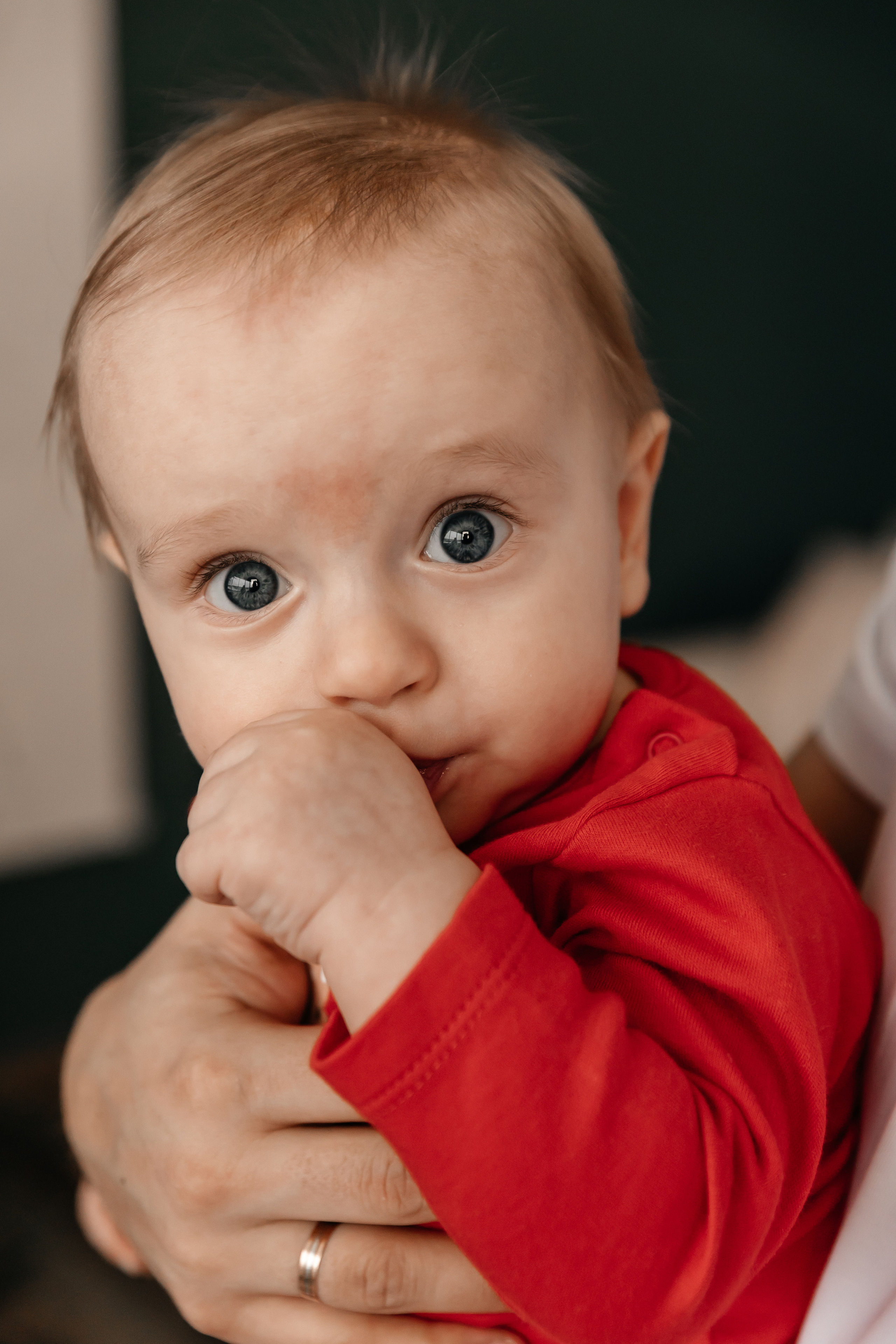 Кристина, Павел, Святослав. Семейный фотограф Минск Усова Ольга