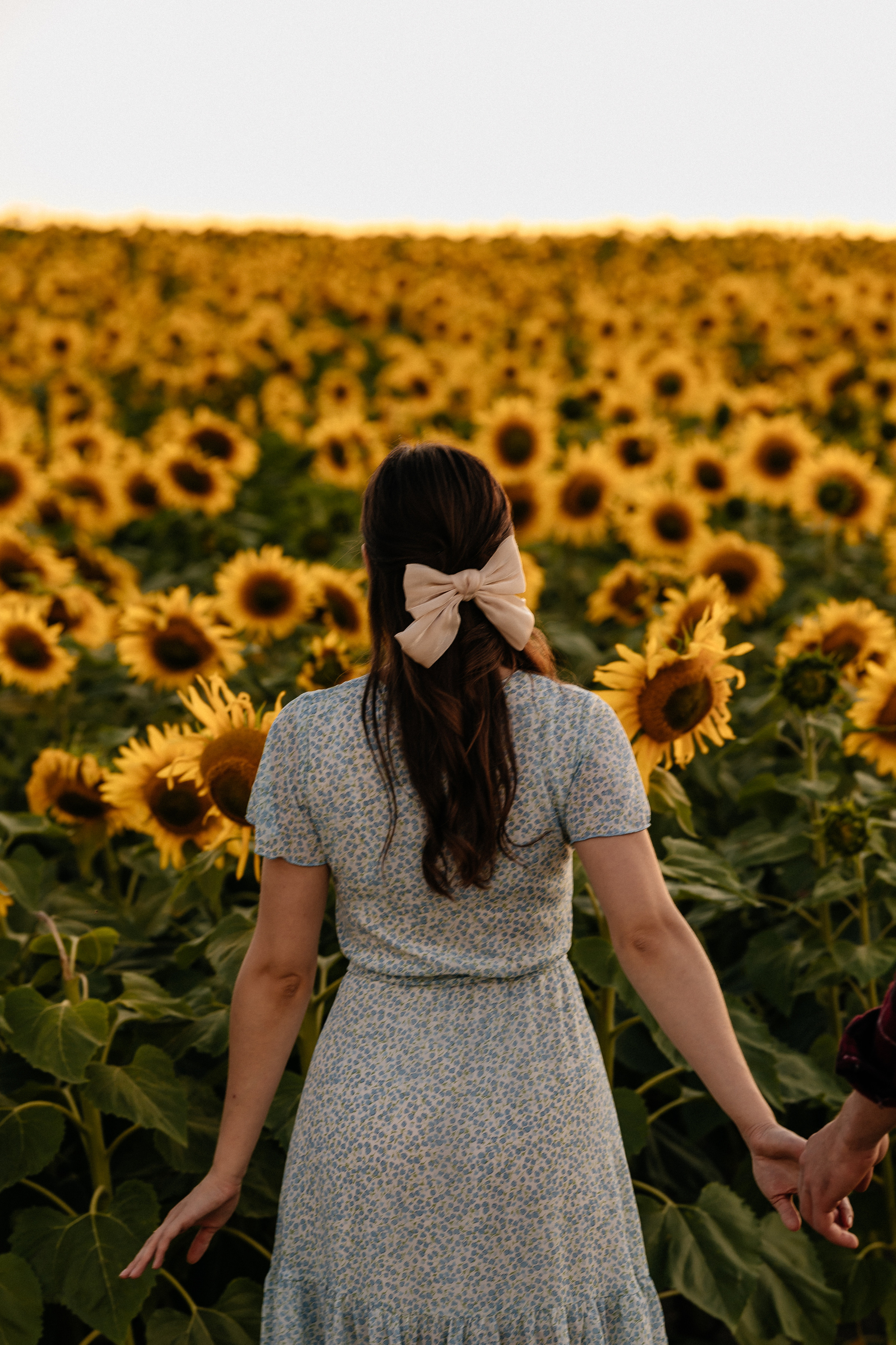 Маргарита и Дима. Семейный фотограф Минск Усова Ольга