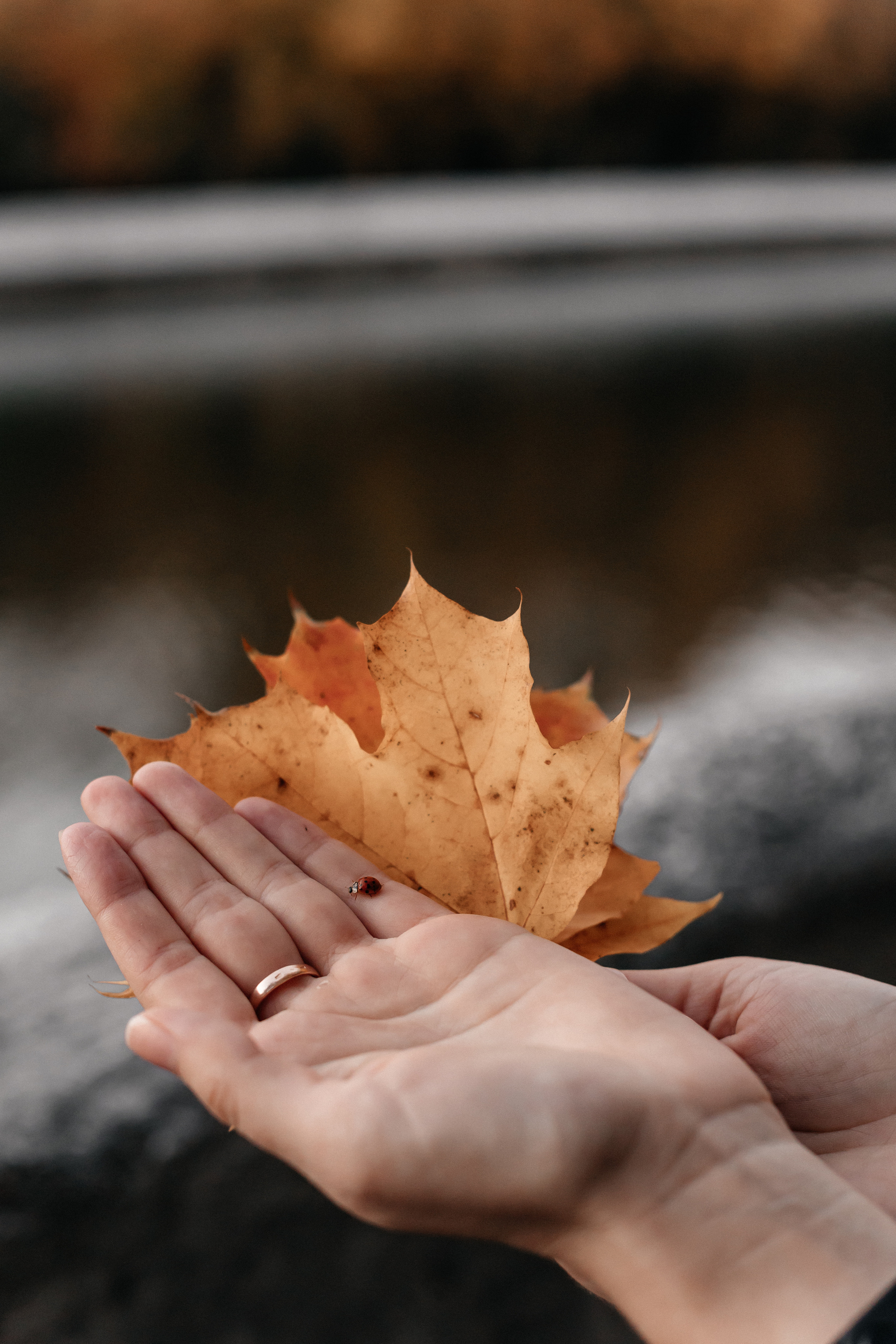 Маргарита. Семейный фотограф Минск Усова Ольга