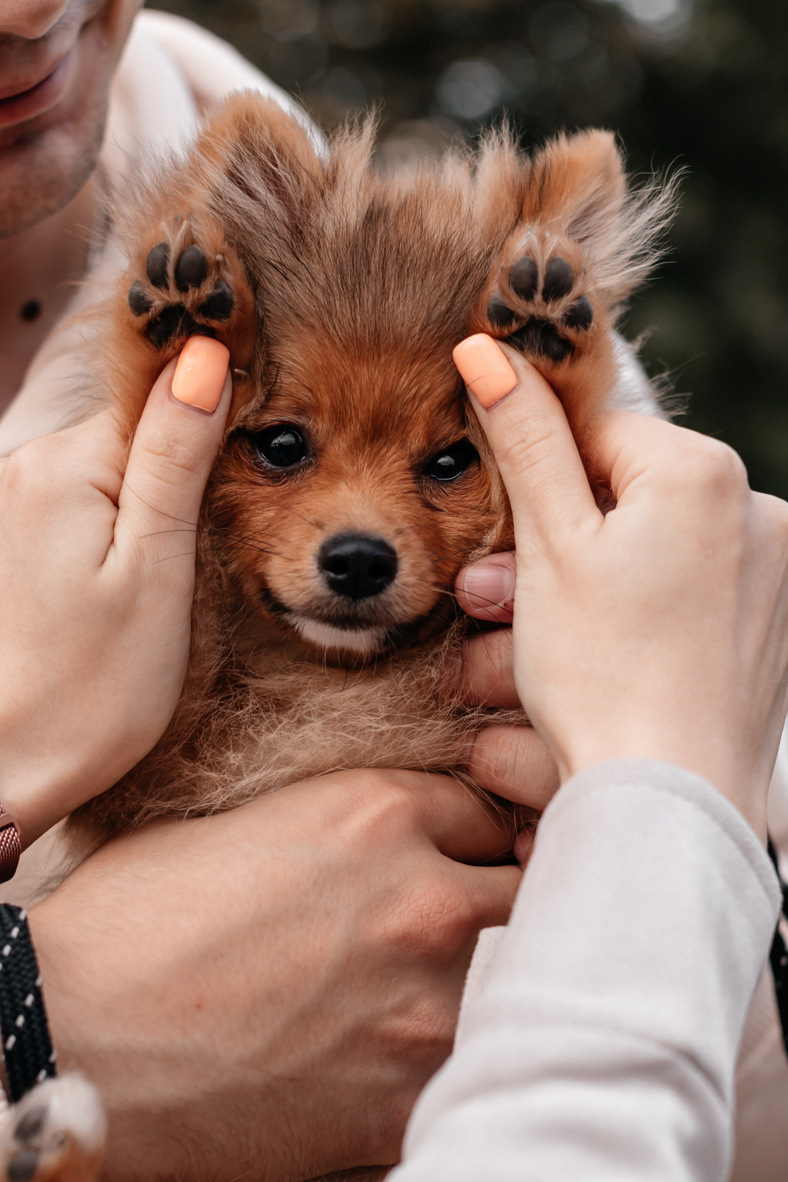 Рома, Алина и Луна. Семейный фотограф Минск Усова Ольга