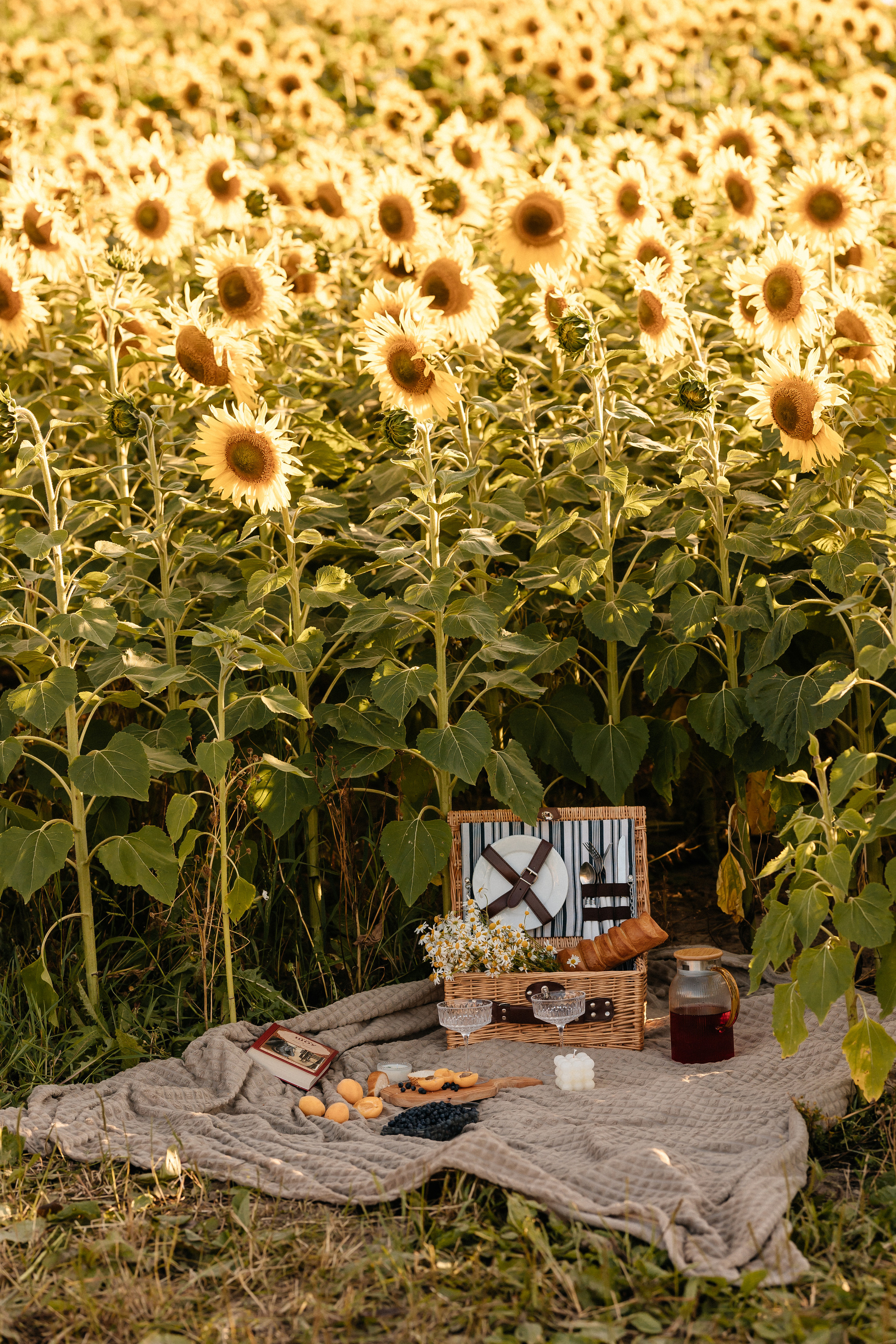 Маша. Семейный фотограф Минск Усова Ольга