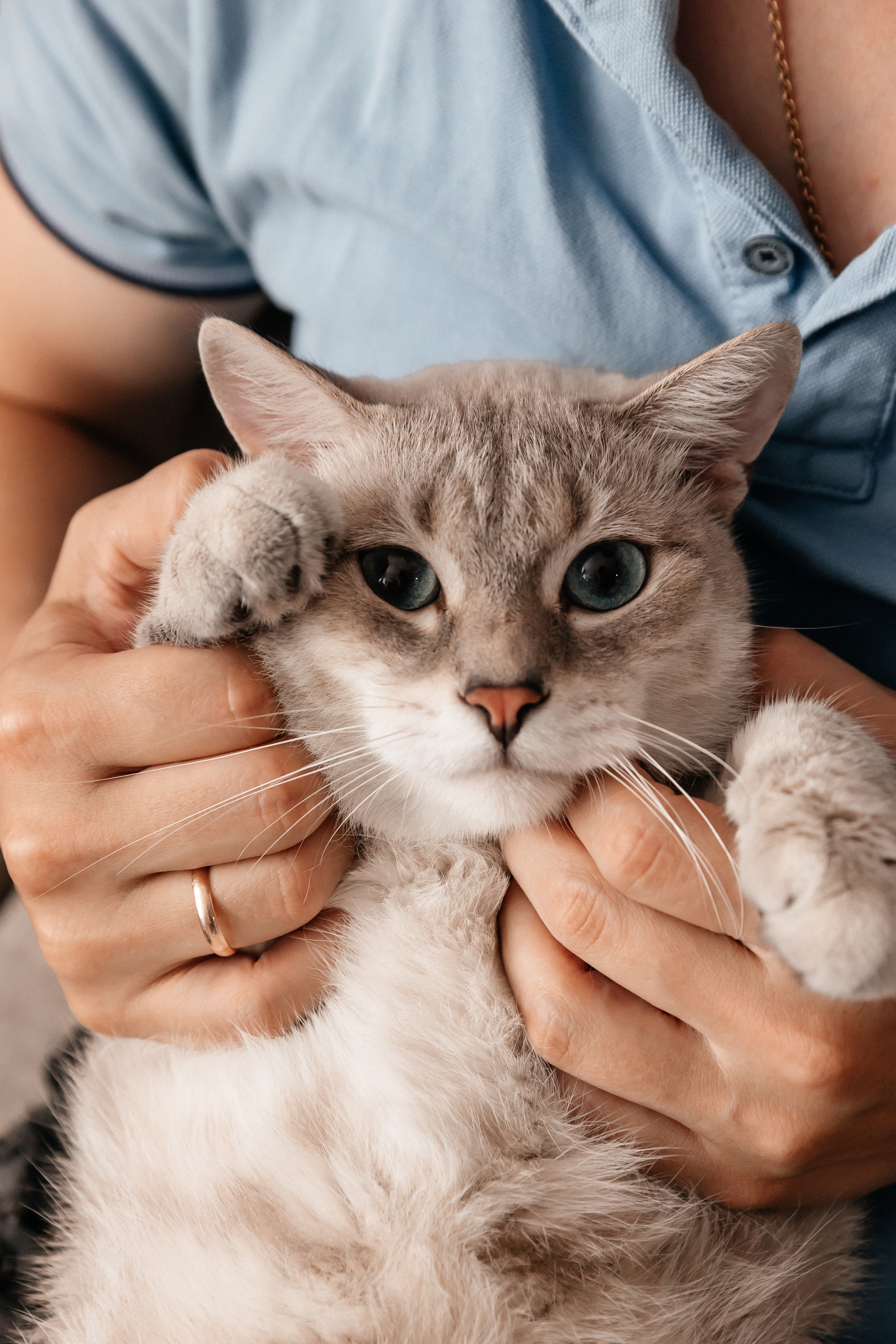 Юля, Витя, Мирон и Марфуня. Семейный фотограф Минск Усова Ольга