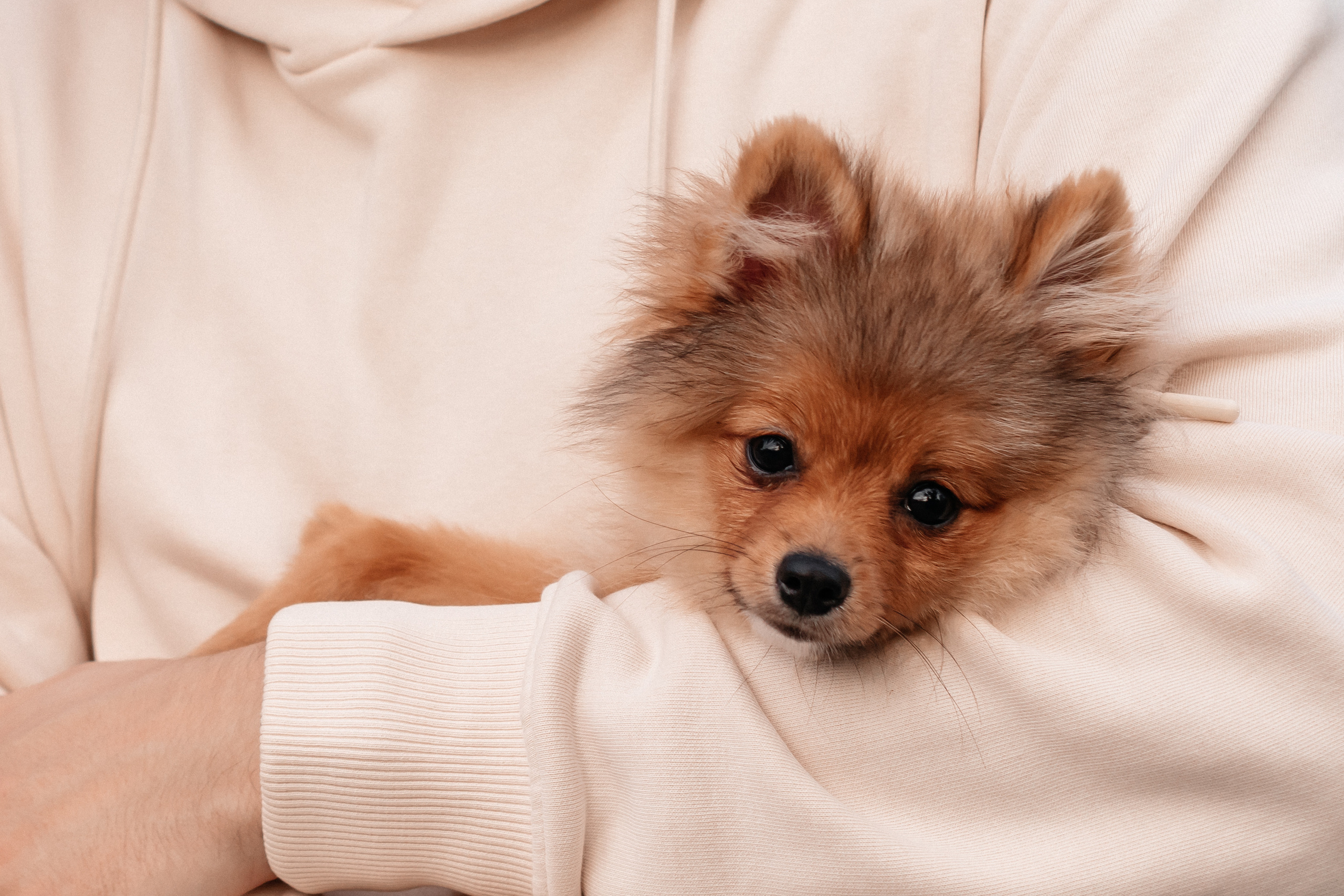 Рома, Алина и Луна. Семейный фотограф Минск Усова Ольга