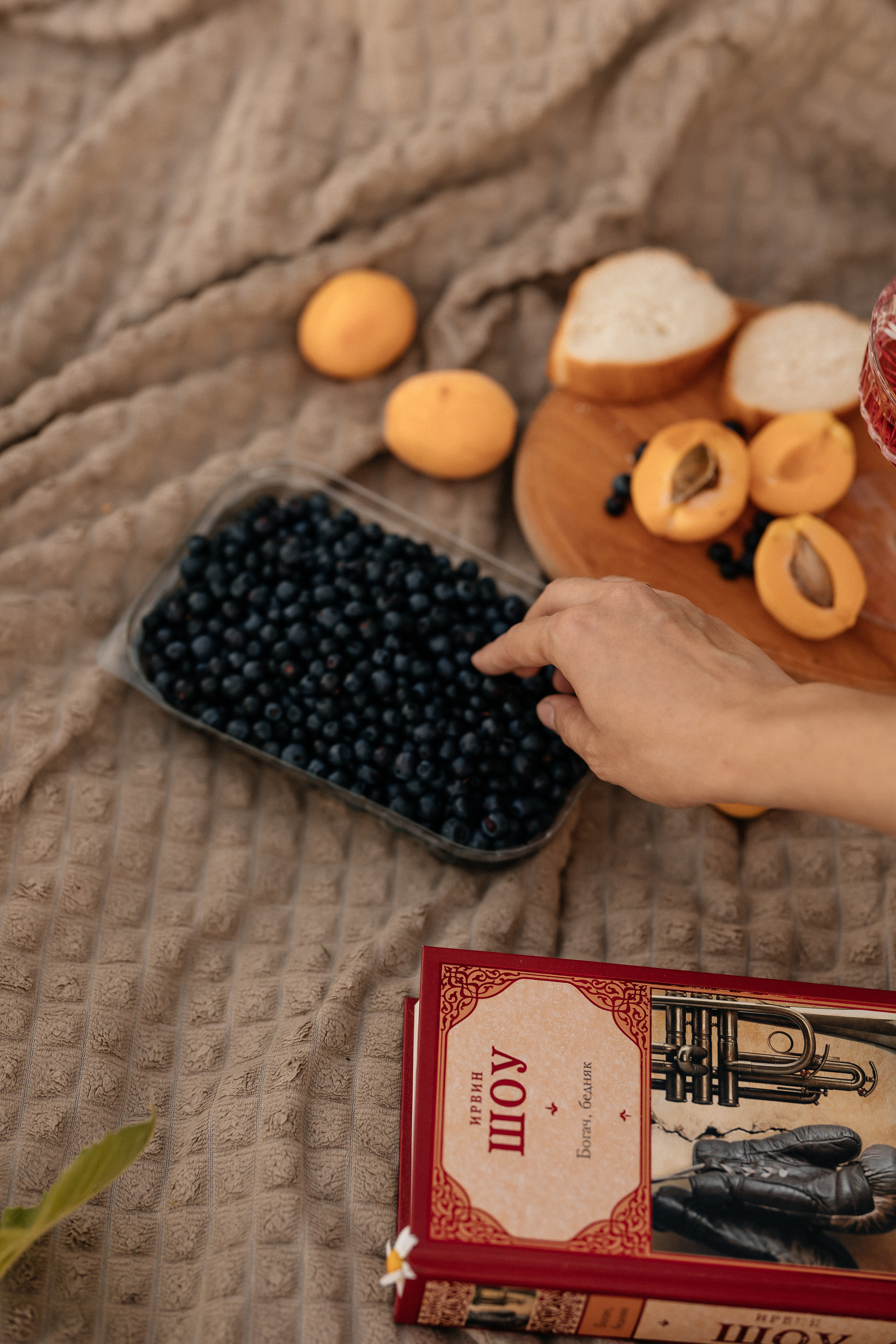 Маргарита и Дима. Семейный фотограф Минск Усова Ольга