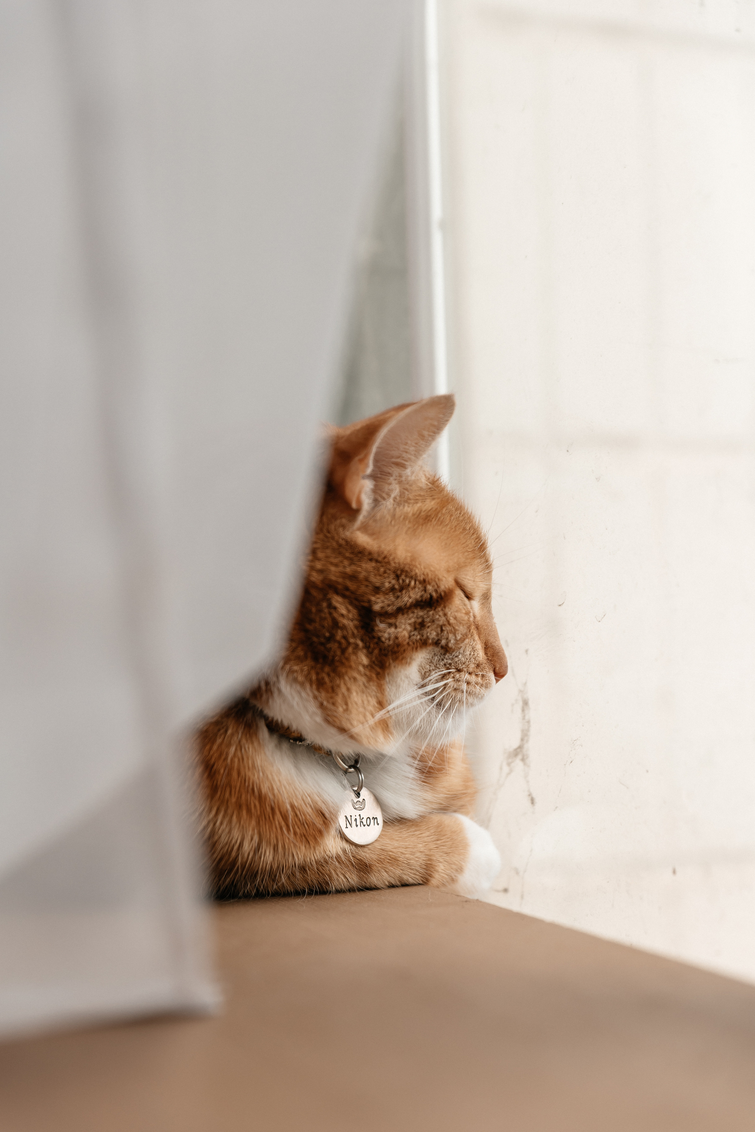 Кондитер. Семейный фотограф Минск Усова Ольга