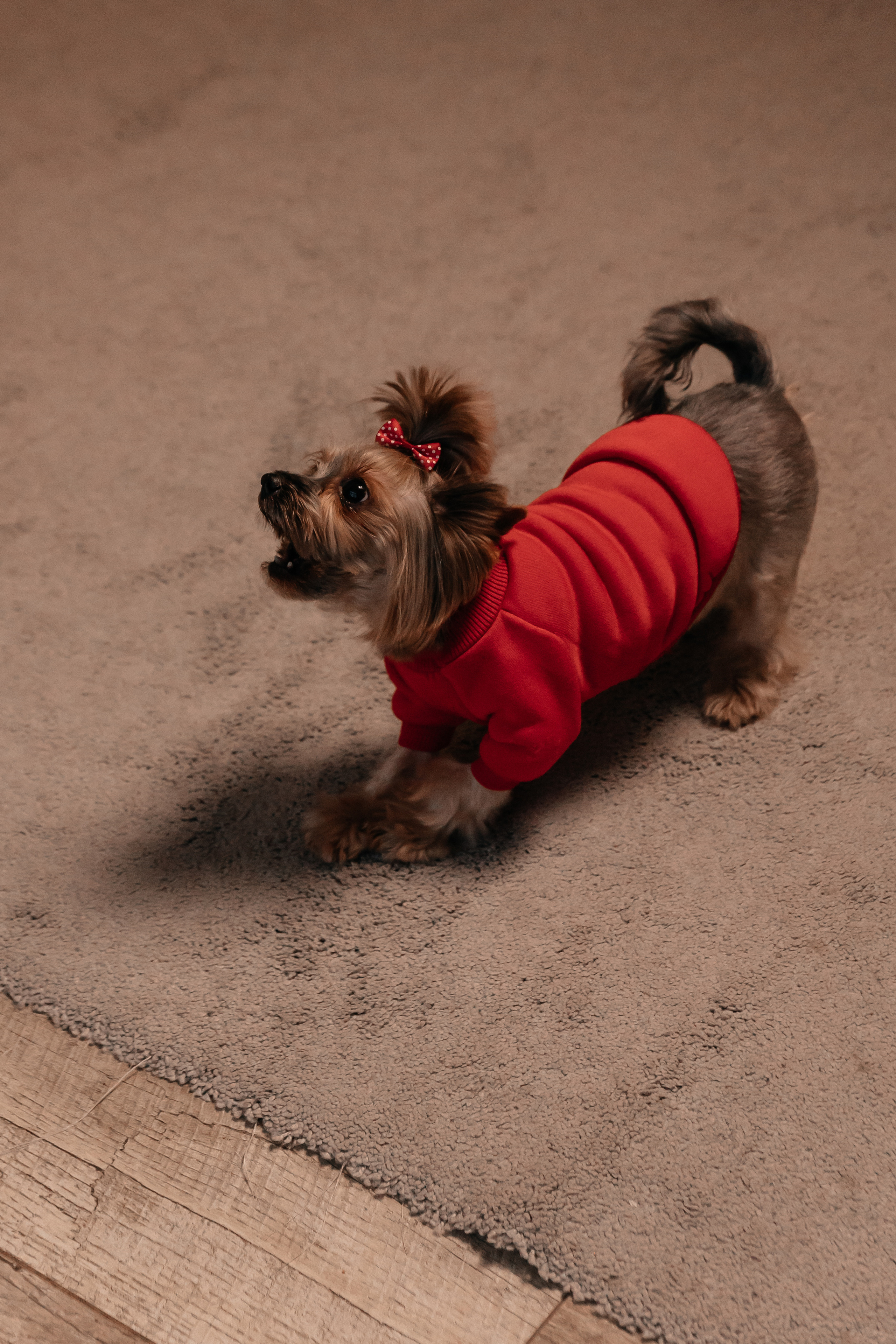 Нина, Александр и Паша. Семейный фотограф Минск Усова Ольга