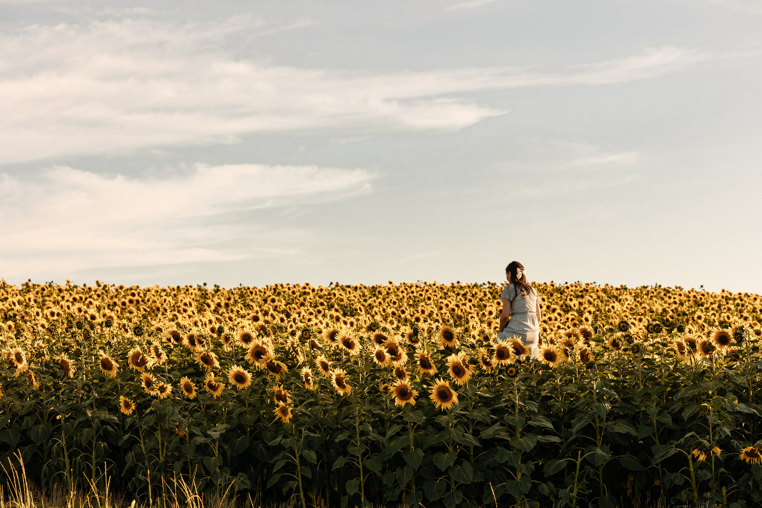 Маргарита и Дима. Семейный фотограф Минск Усова Ольга