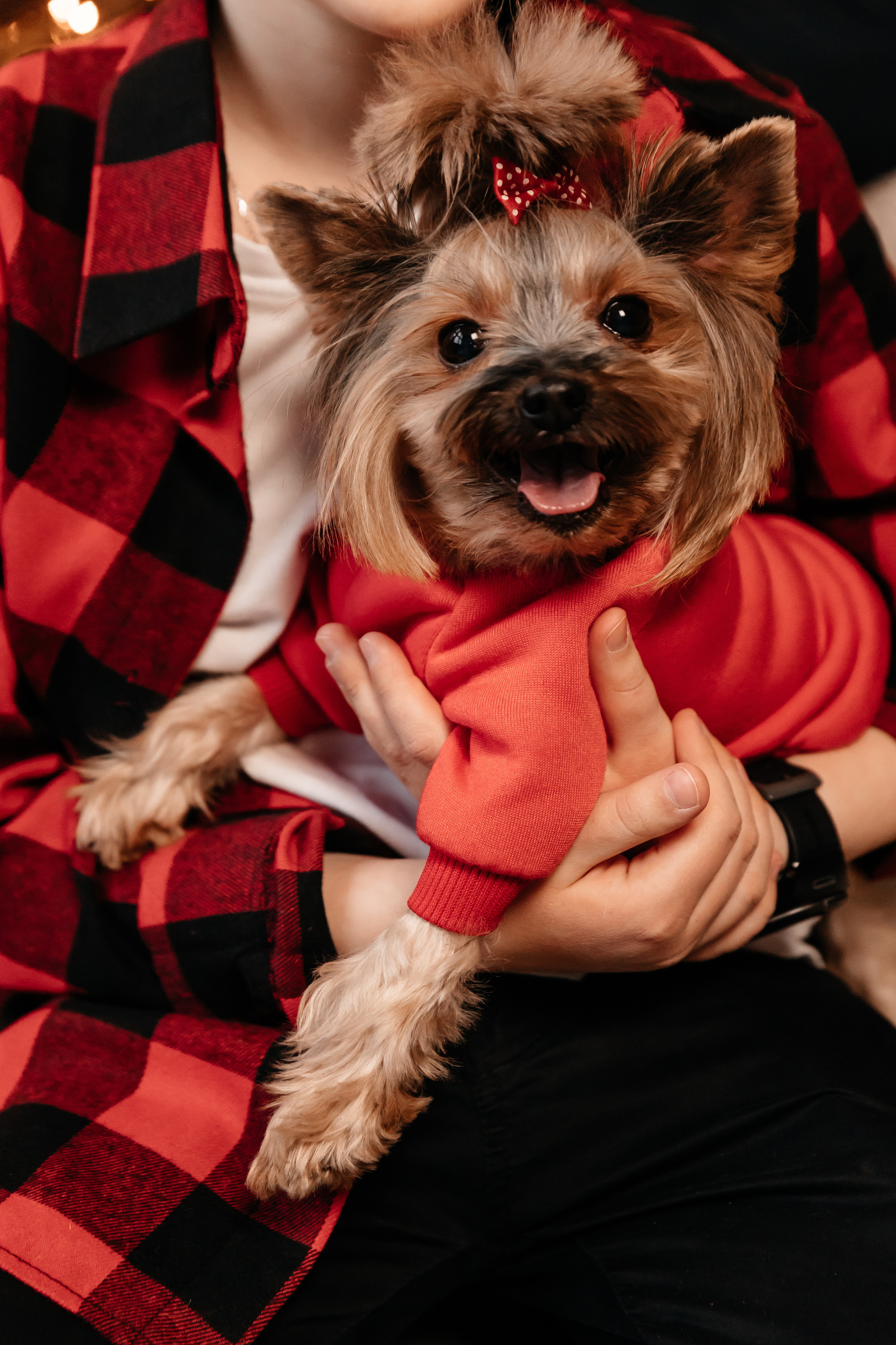 Нина, Александр и Паша. Семейный фотограф Минск Усова Ольга