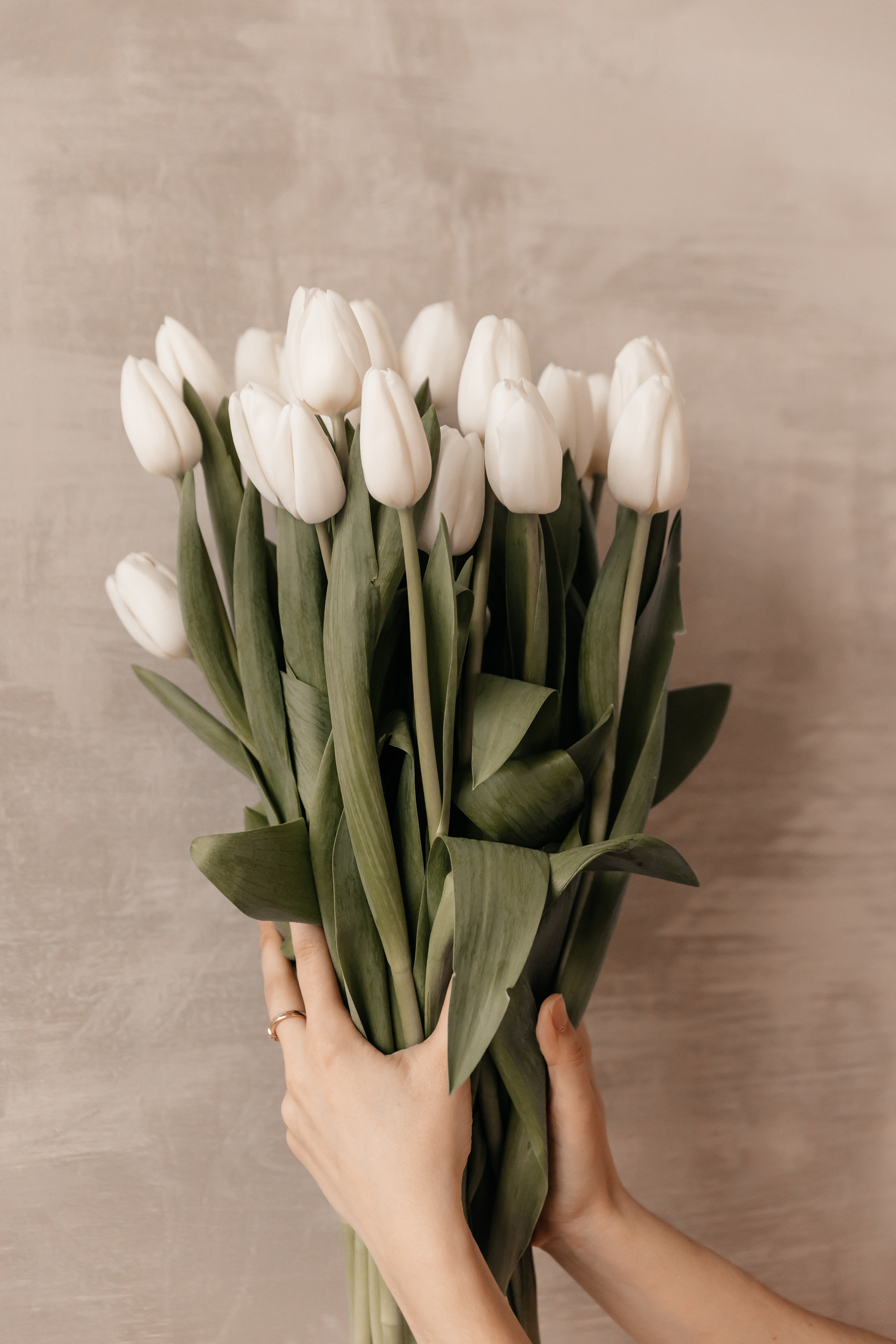 Маргарита. Семейный фотограф Минск Усова Ольга