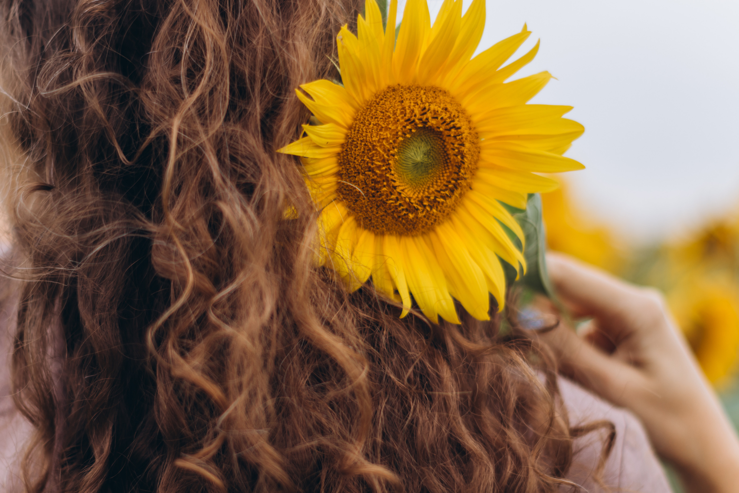 Даша. Семейный фотограф Минск Усова Ольга