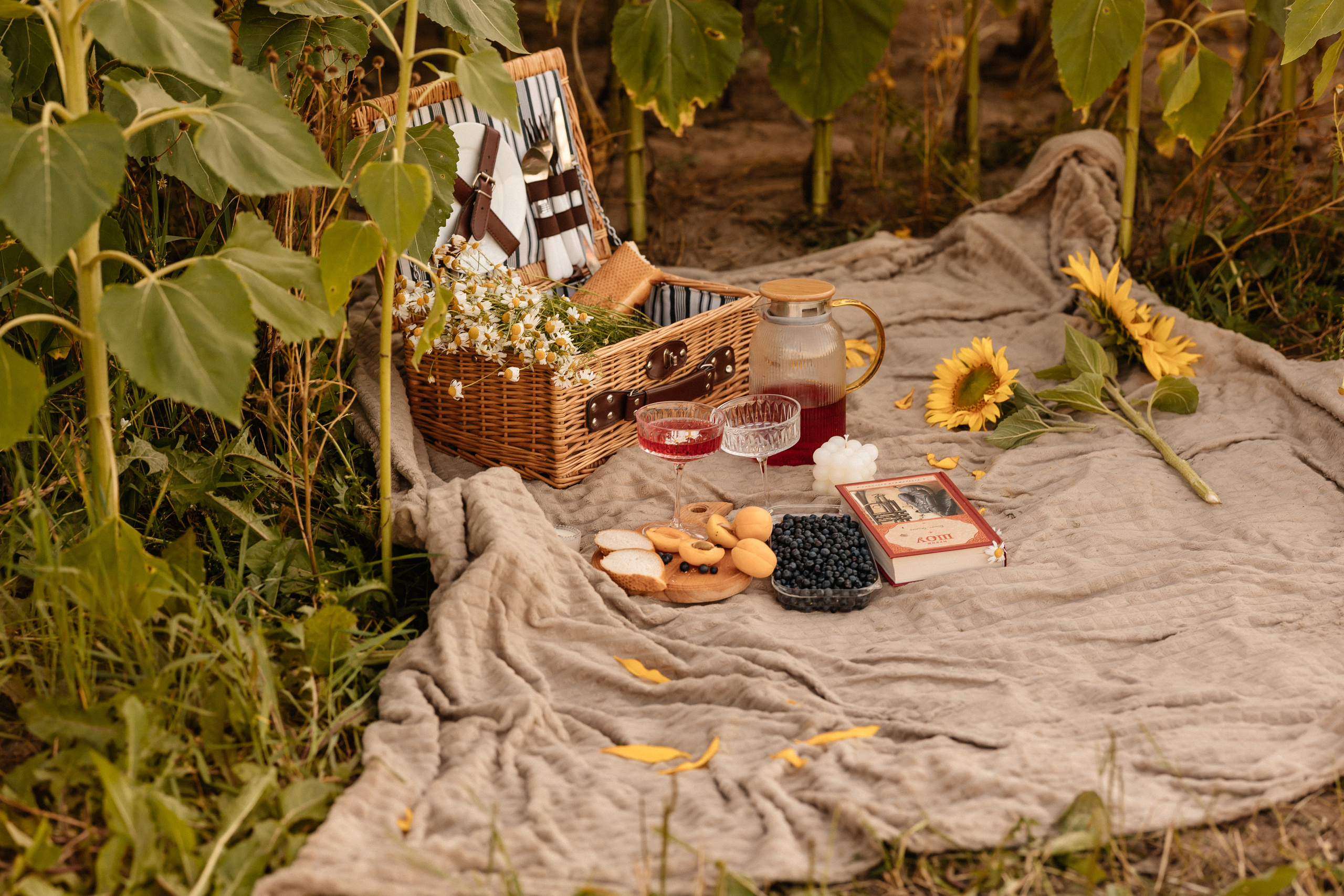 Маргарита и Дима. Семейный фотограф Минск Усова Ольга