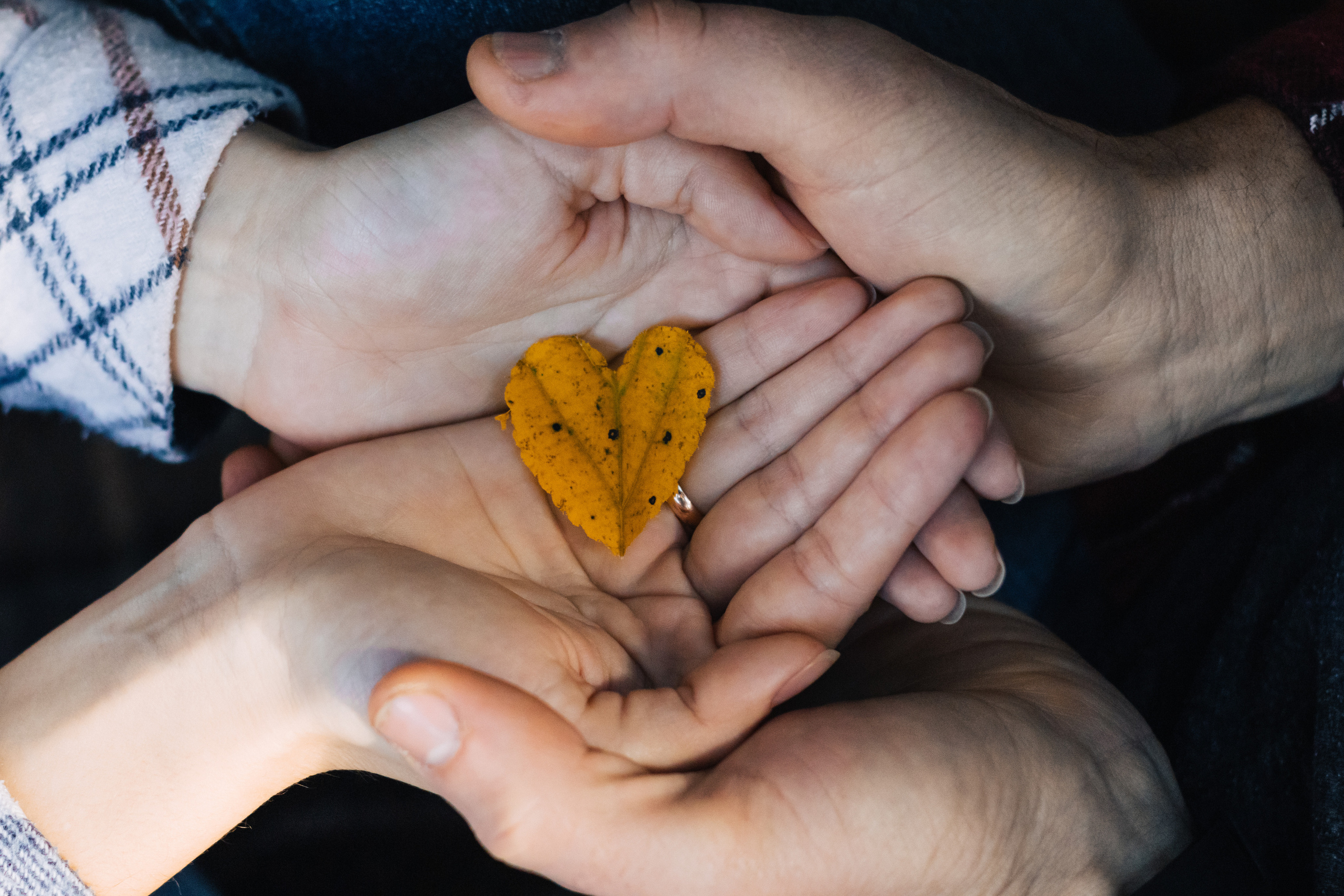 Маргарита и Дима. Семейный фотограф Минск Усова Ольга