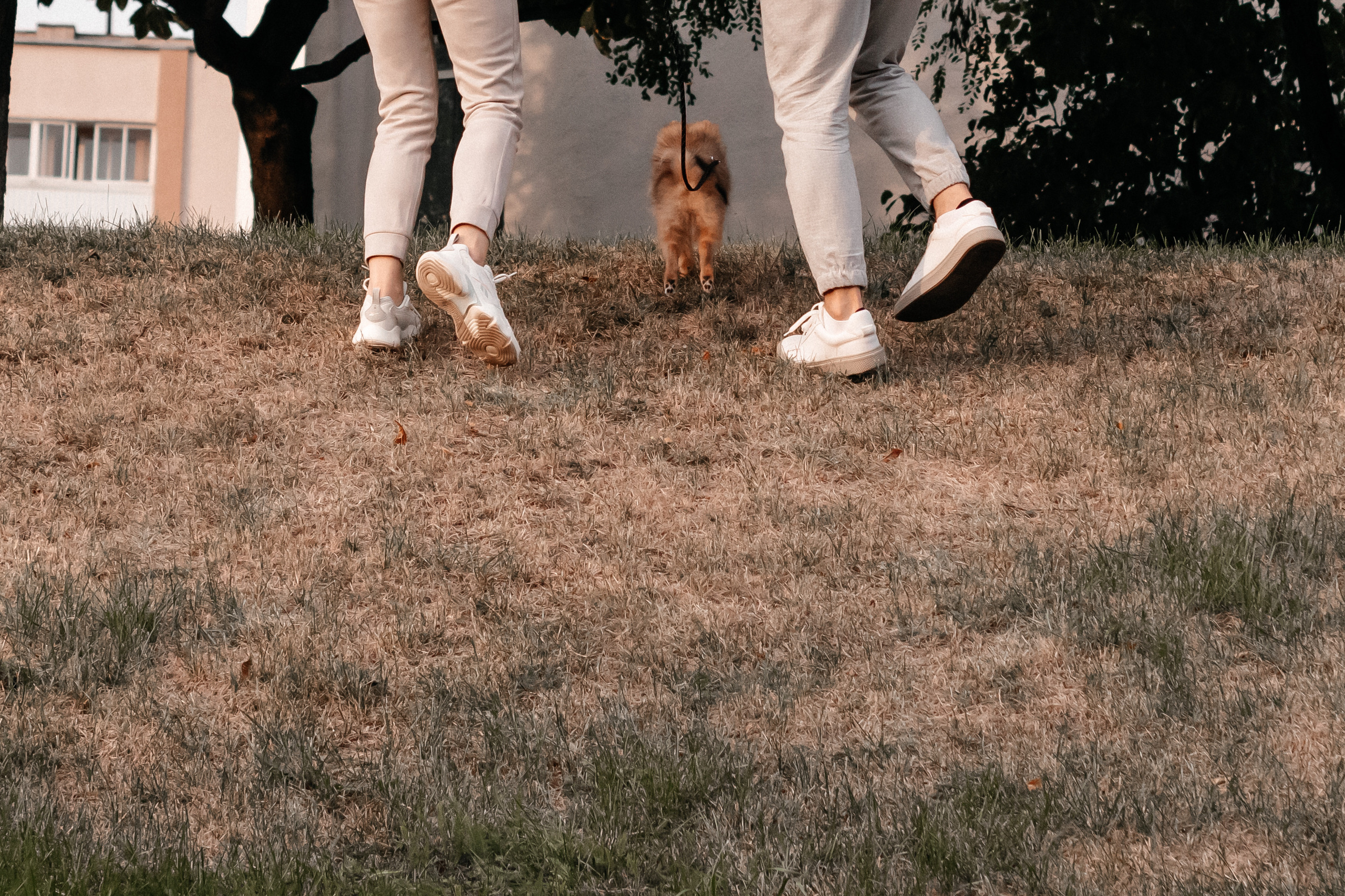 Рома, Алина и Луна. Семейный фотограф Минск Усова Ольга