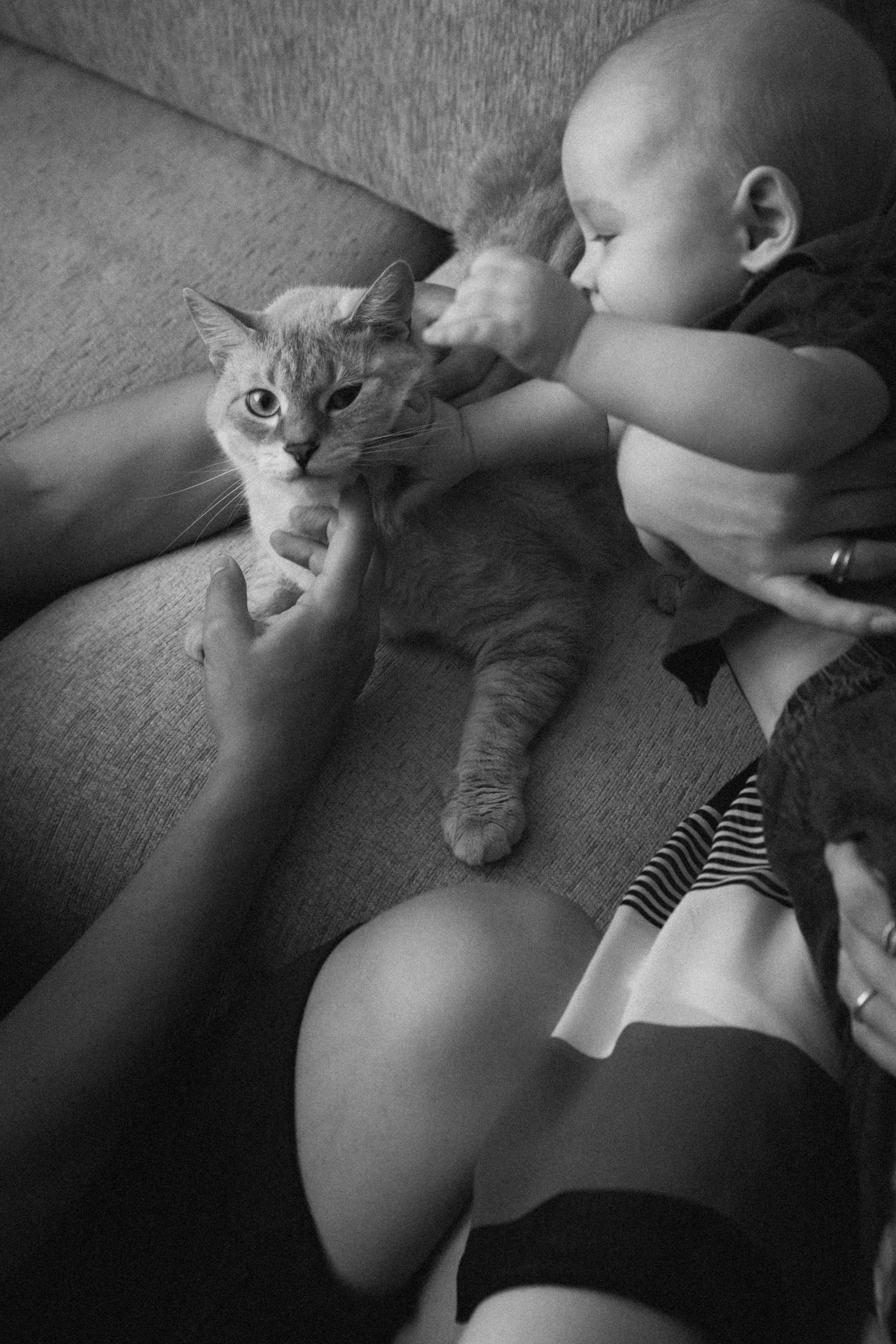 Юля, Витя, Мирон и Марфуня. Семейный фотограф Минск Усова Ольга